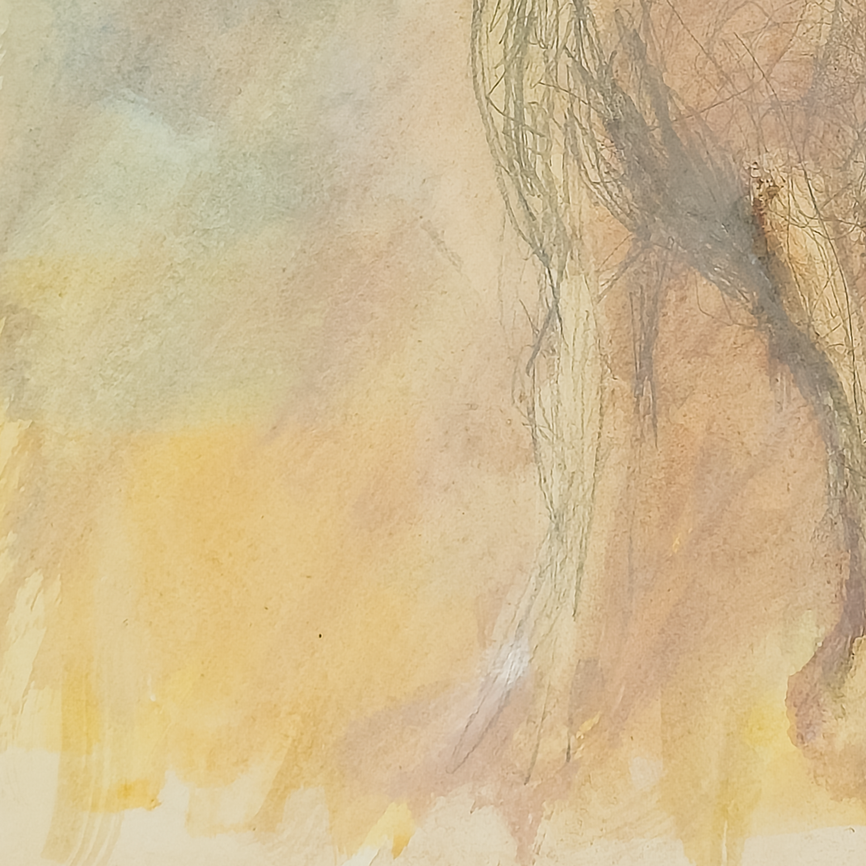 Graphite Horse by Virginia Cohn Parkum