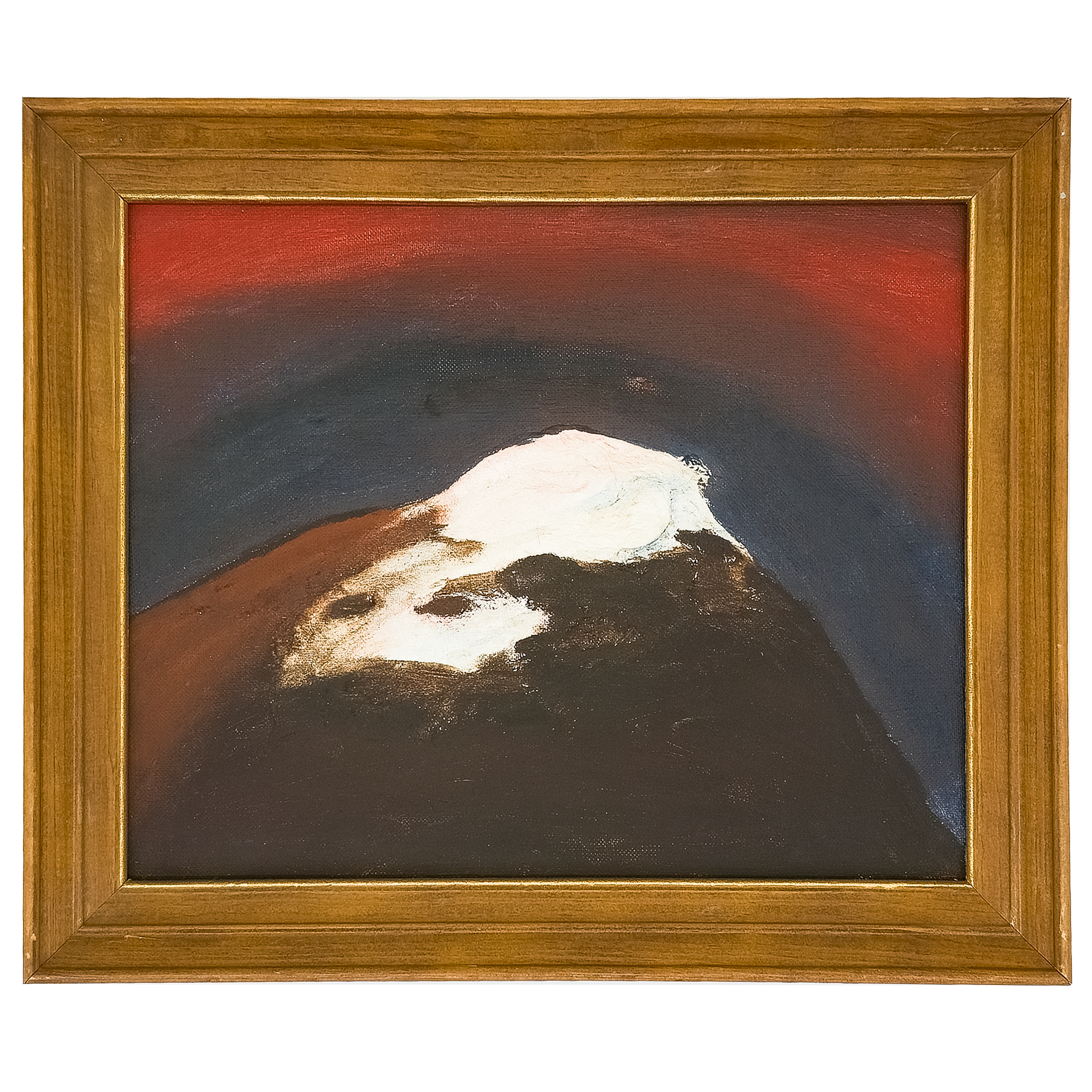 Snow-covered Mountain by Virginia Cohn Parkum
