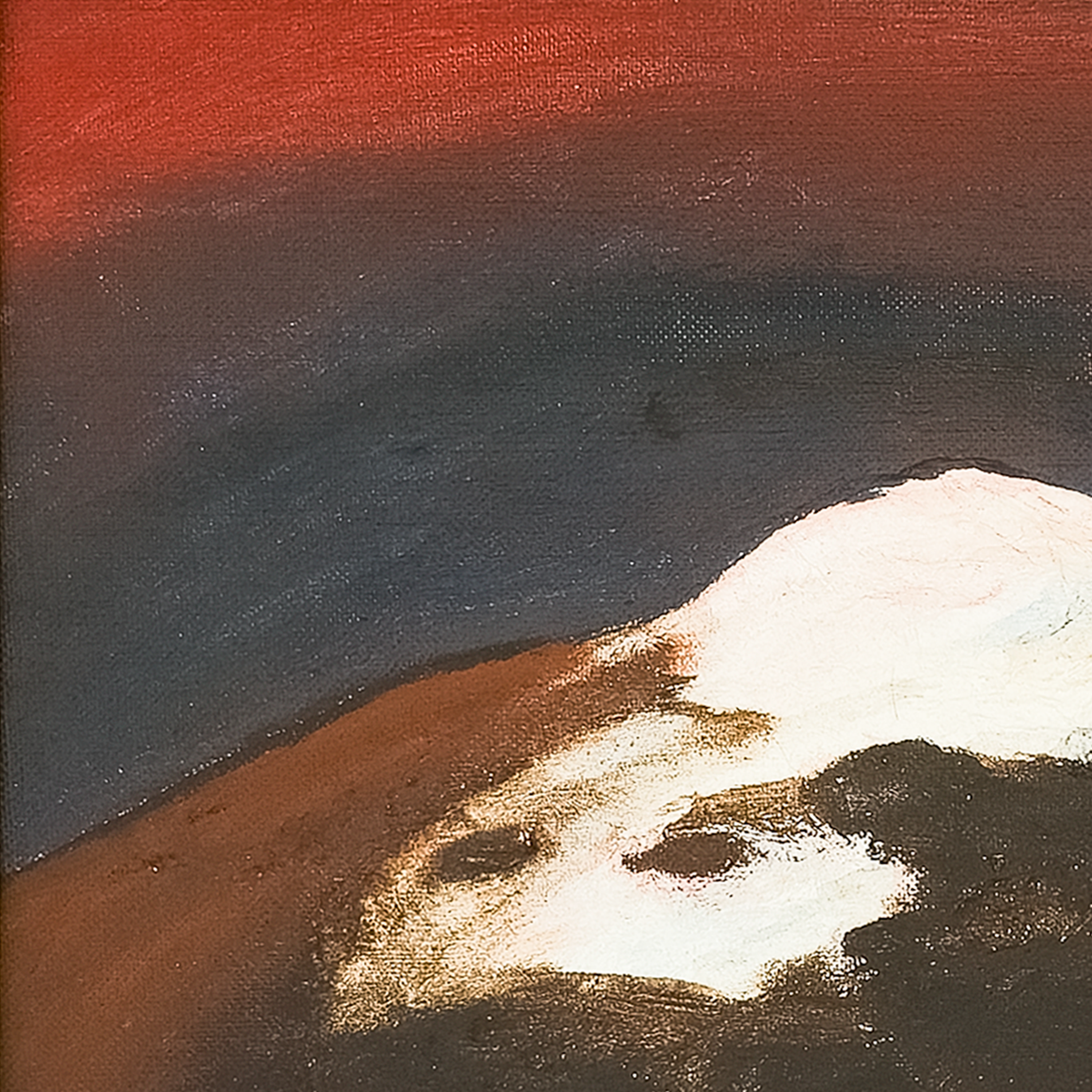 Snow-covered Mountain by Virginia Cohn Parkum