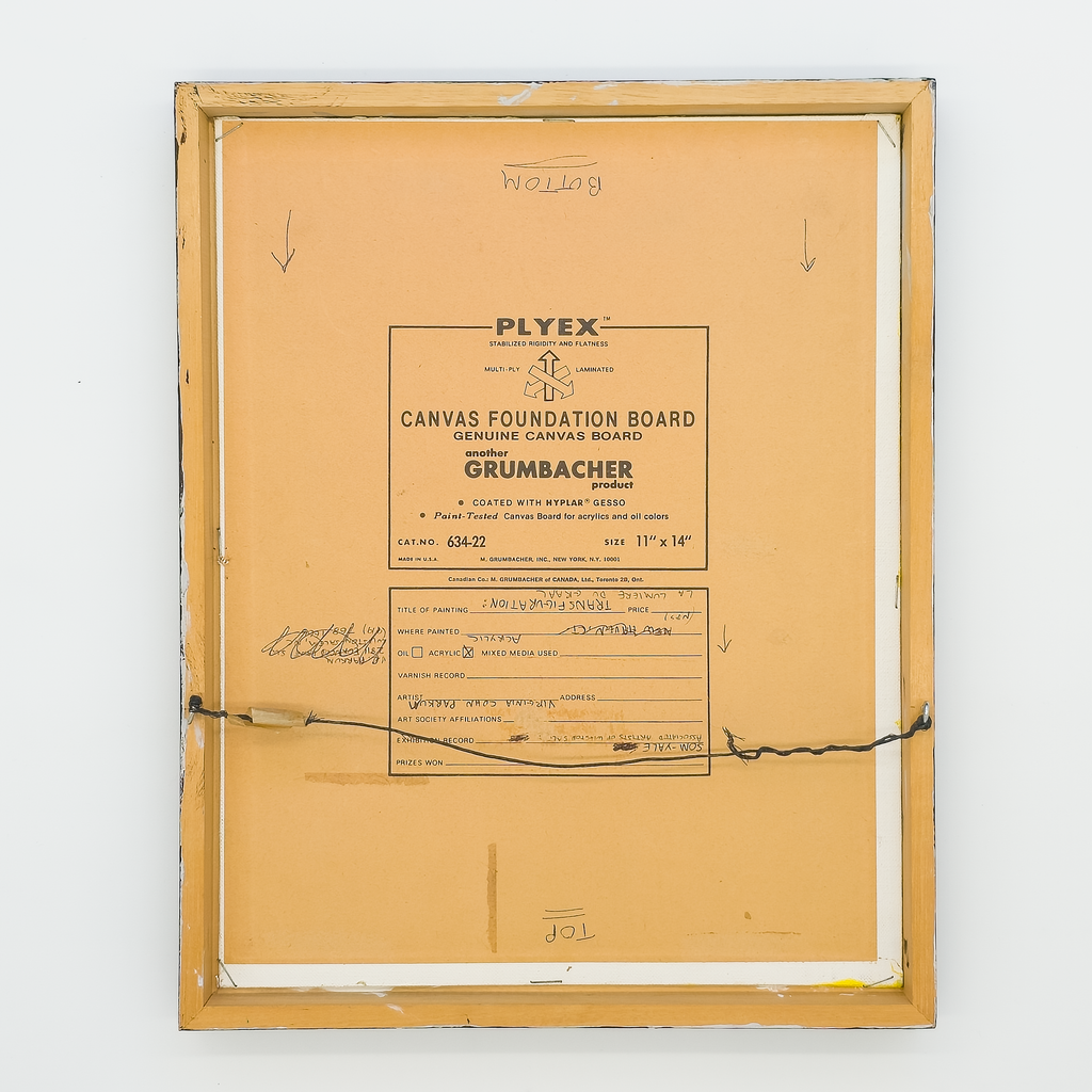 Transfiguration: Le Lumiere Du Graal by Virginia Cohn Parkum