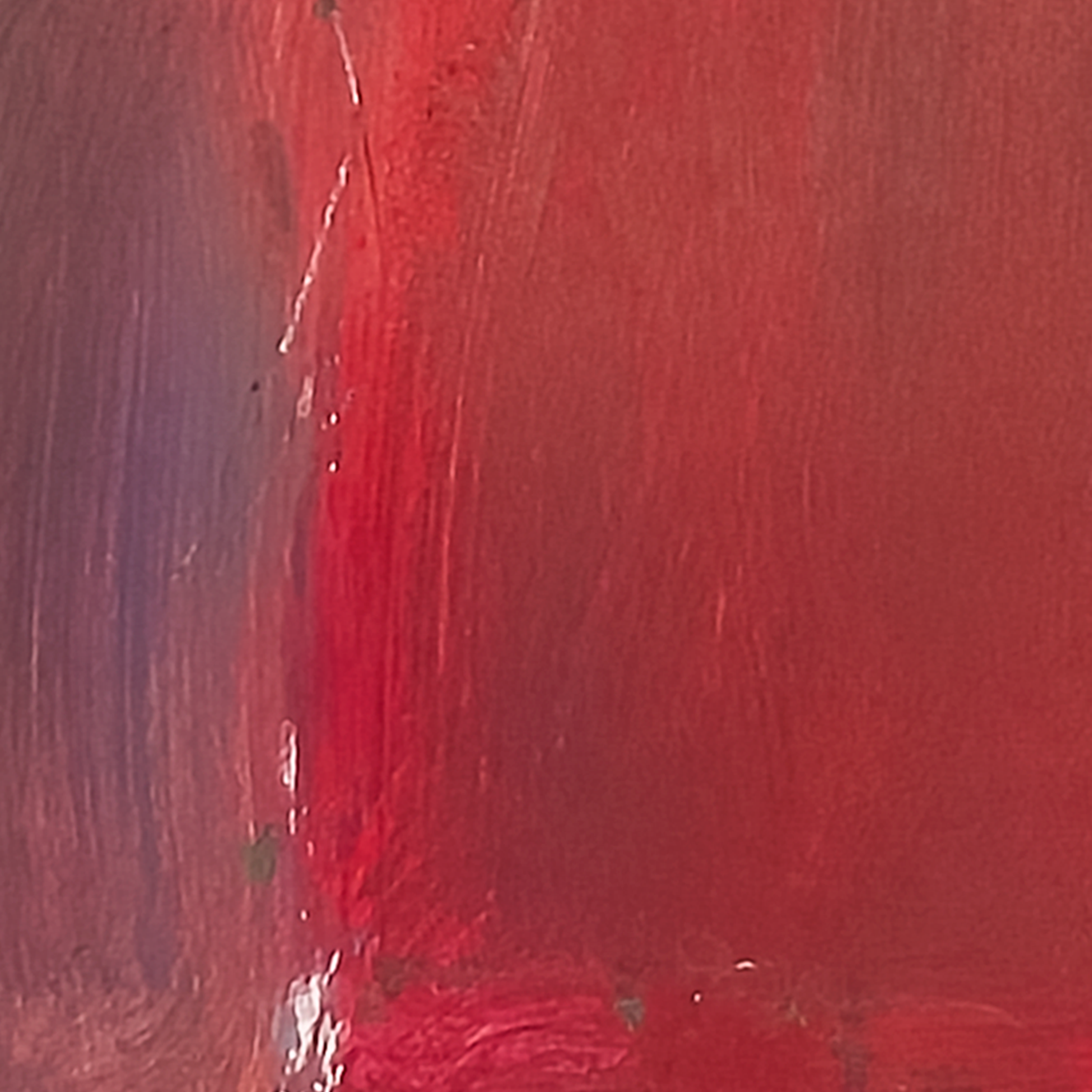 Lady in Red by Virginia Cohn Parkum