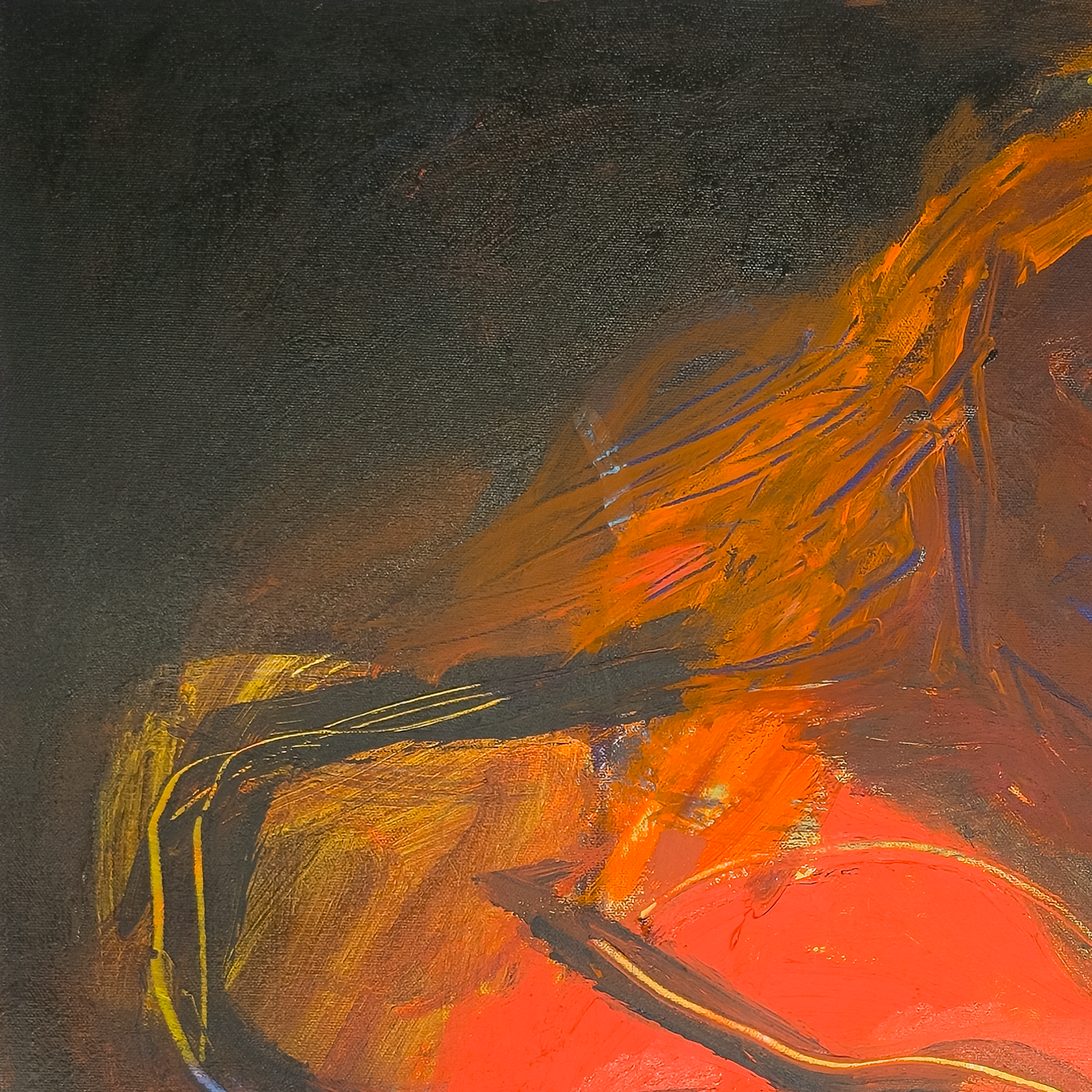 Hot Licks by Virginia Cohn Parkum