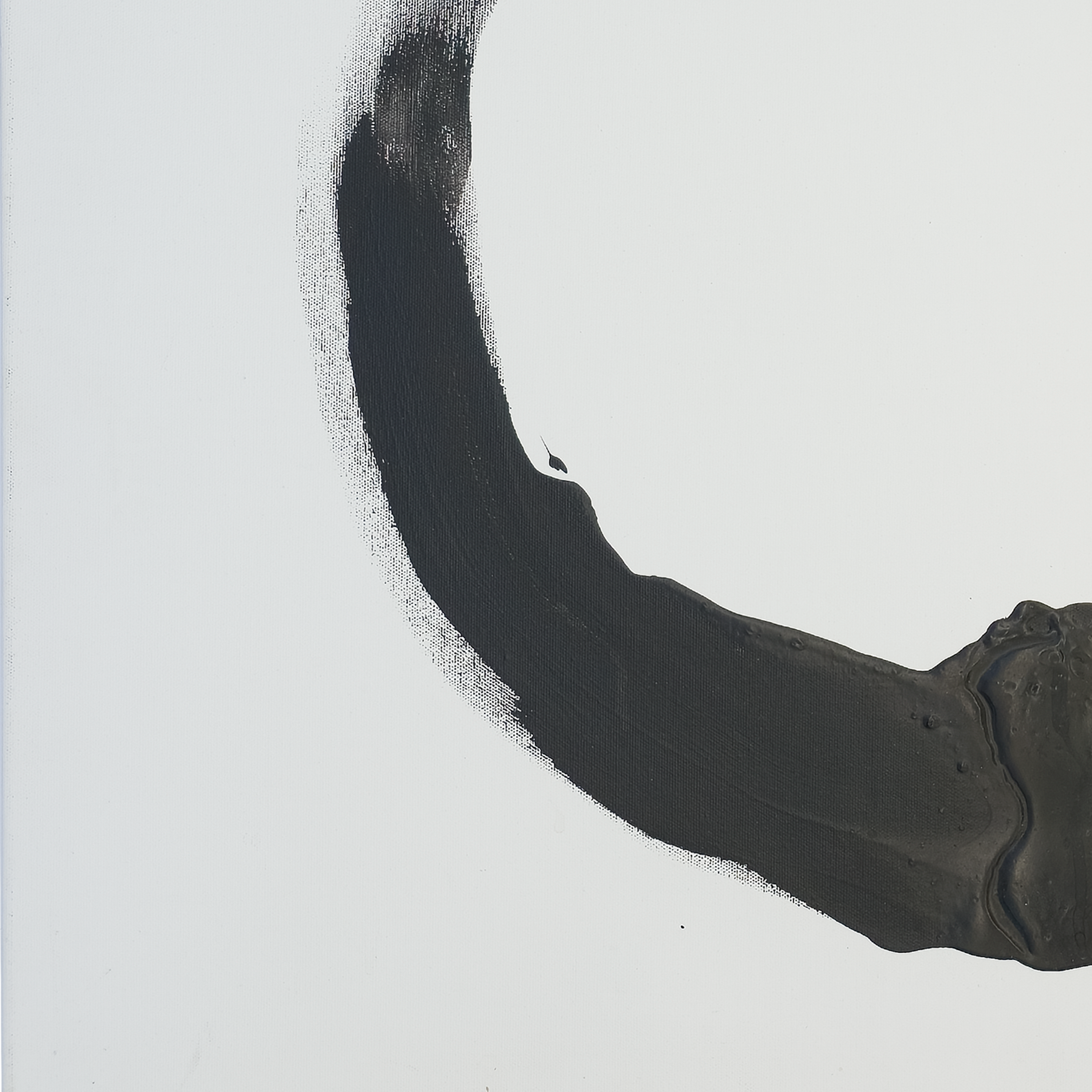 Enso: Hand's Up Don't Shoot by Virginia Cohn Parkum