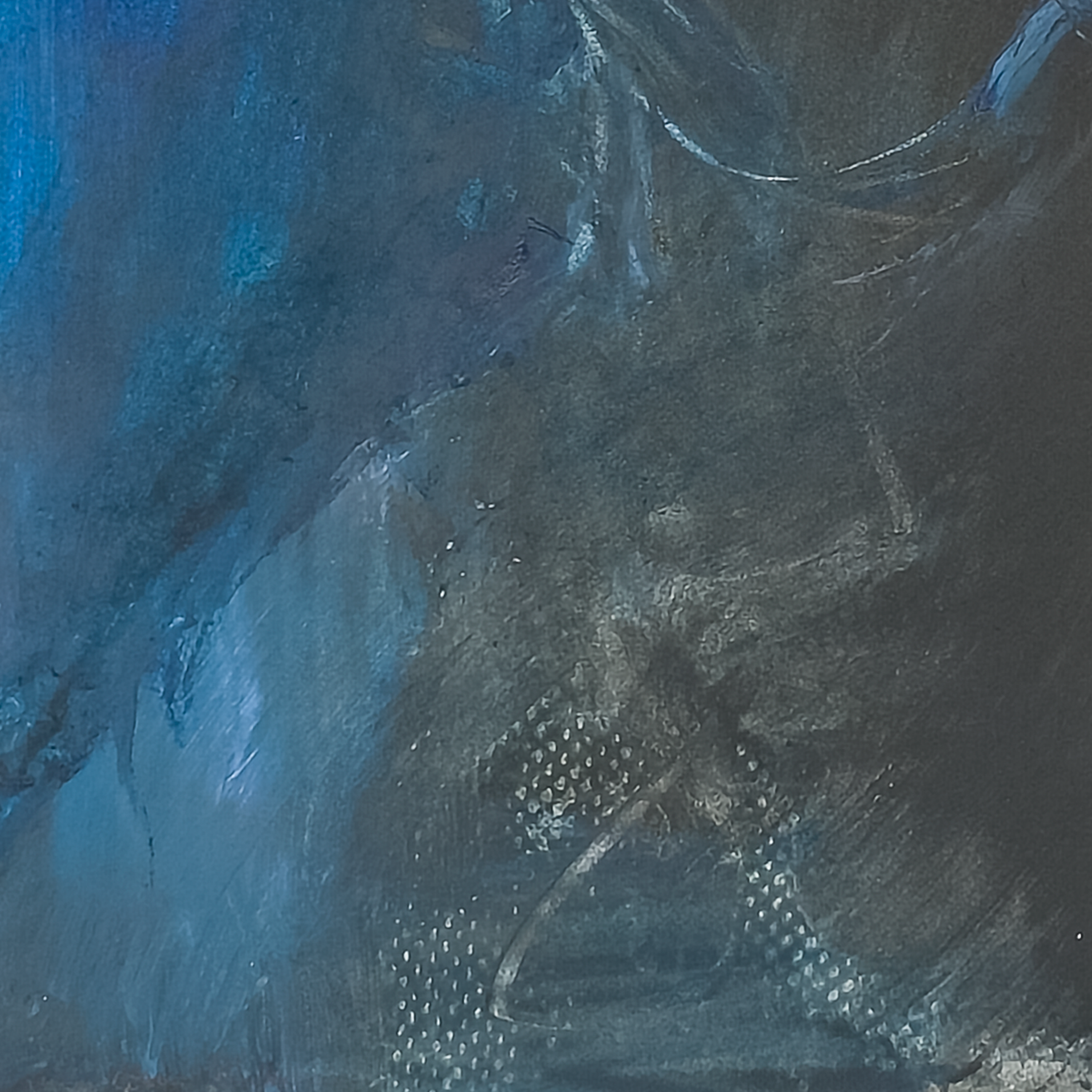 Bluejay by Virginia Cohn Parkum