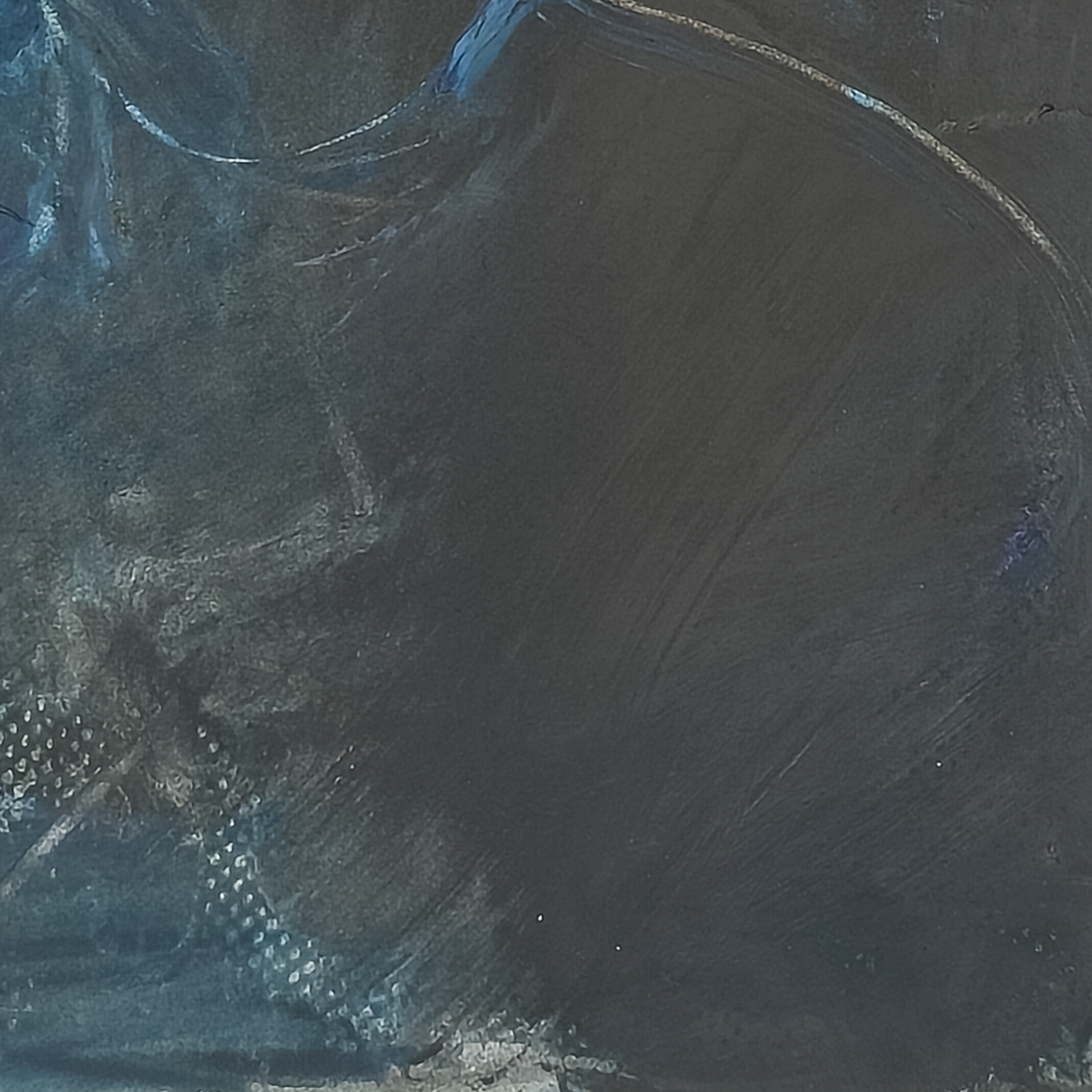 Bluejay by Virginia Cohn Parkum