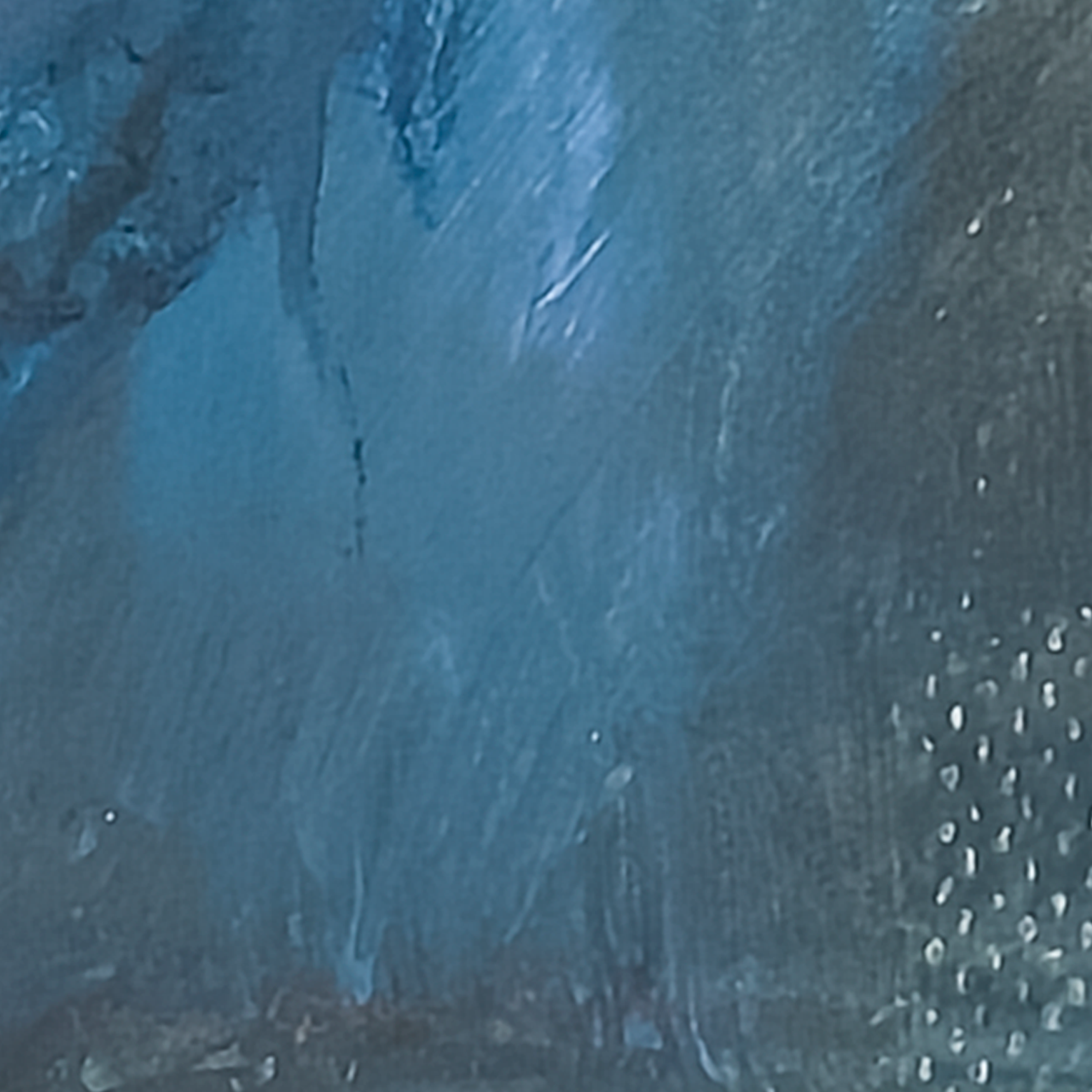 Bluejay by Virginia Cohn Parkum