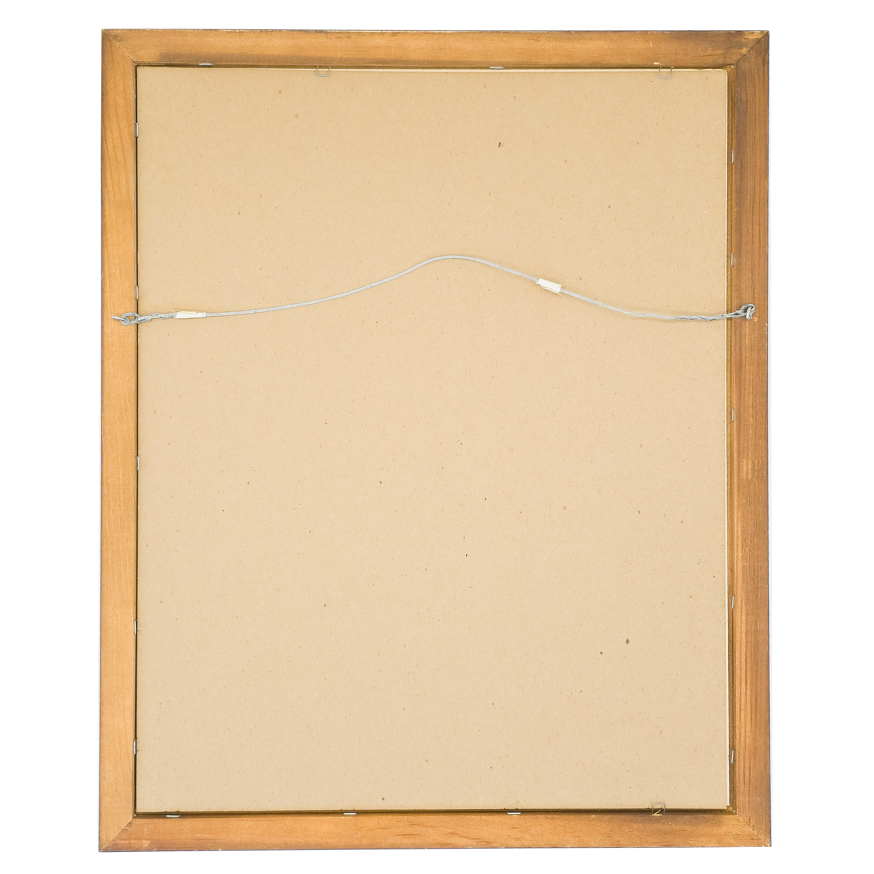 Bluejay by Virginia Cohn Parkum