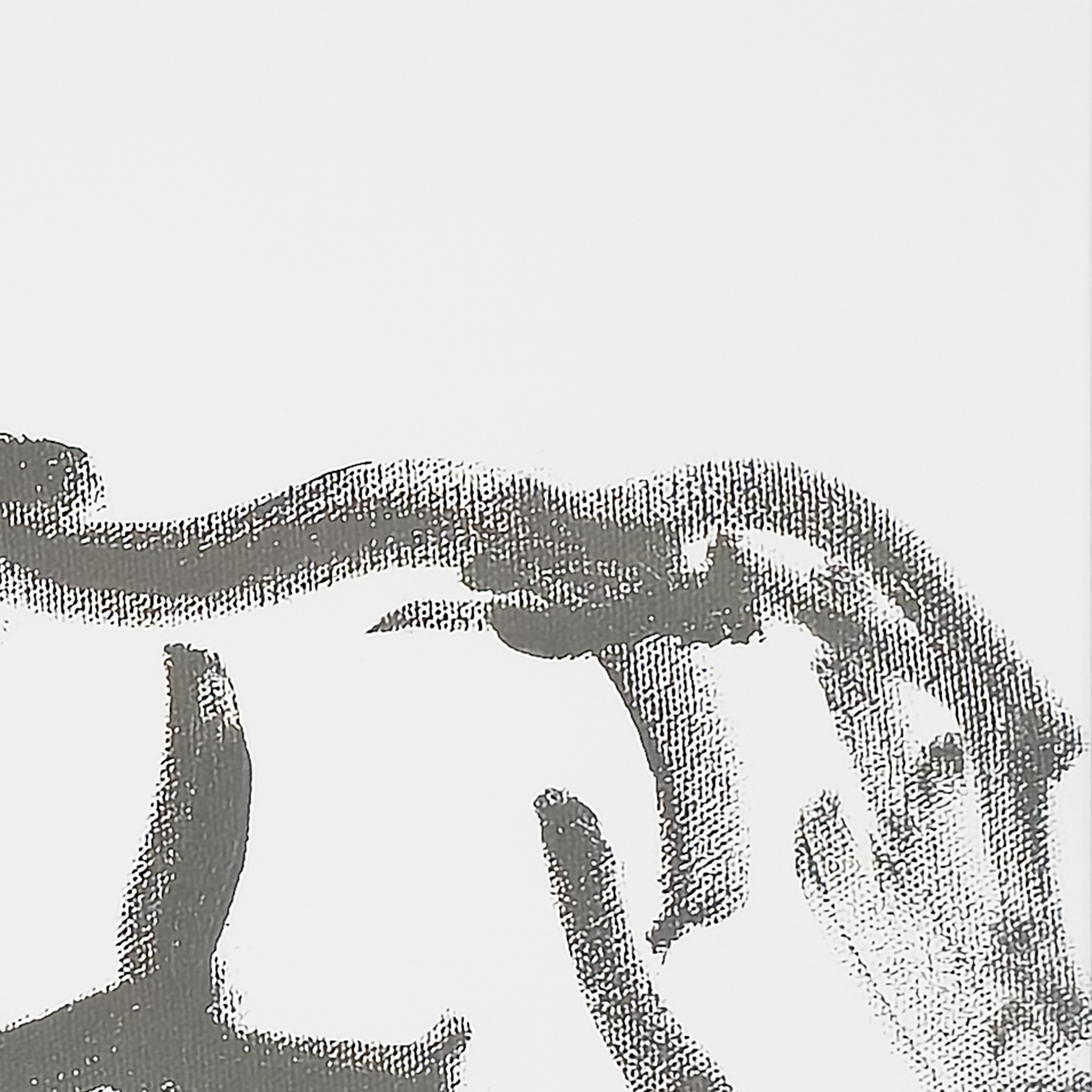 Freedom 2 (Framed Print) - Virginia Cohn Parkum, c. 2020s