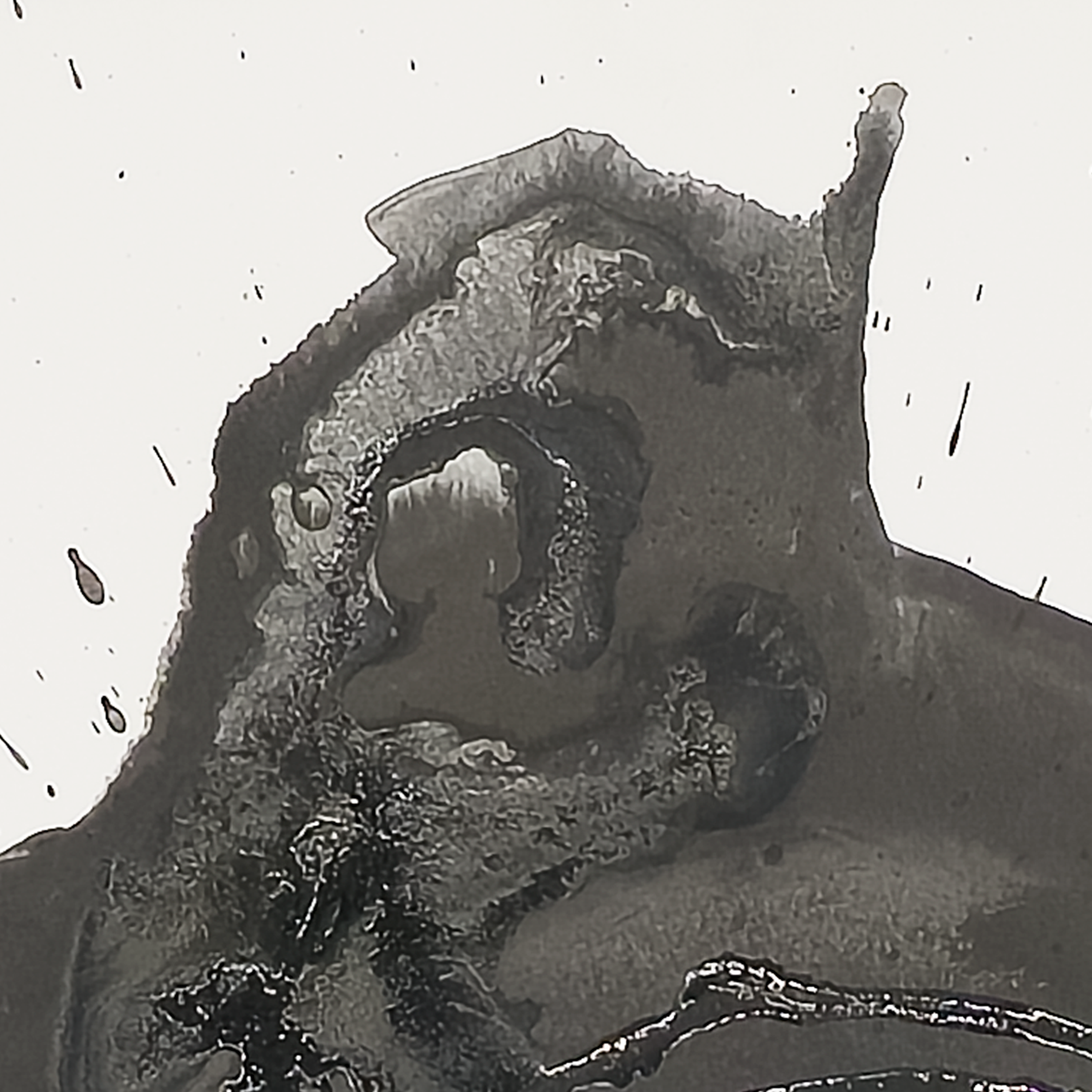 Leaky Enso - Virginia Cohn Parkum, c. Unknown