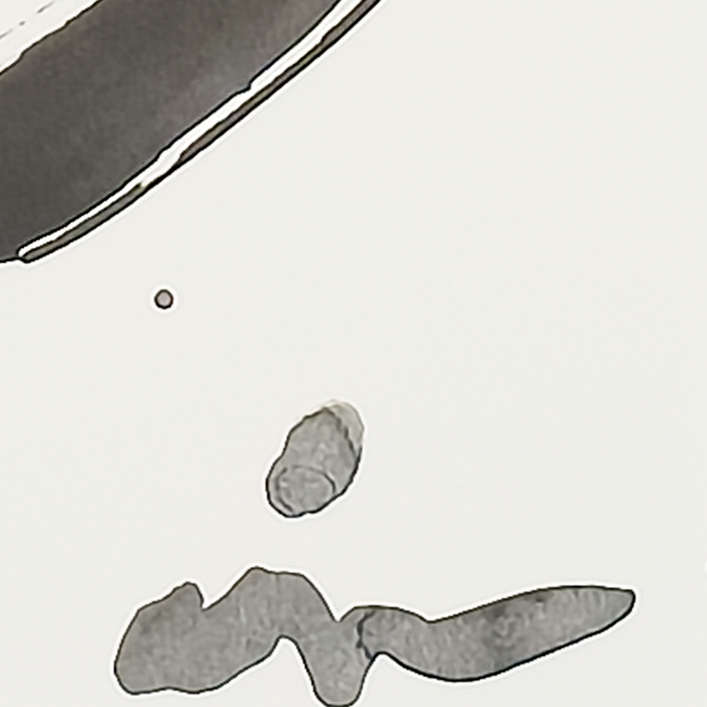 Enso Study 2 - Virginia Cohn Parkum, c. Unknown
