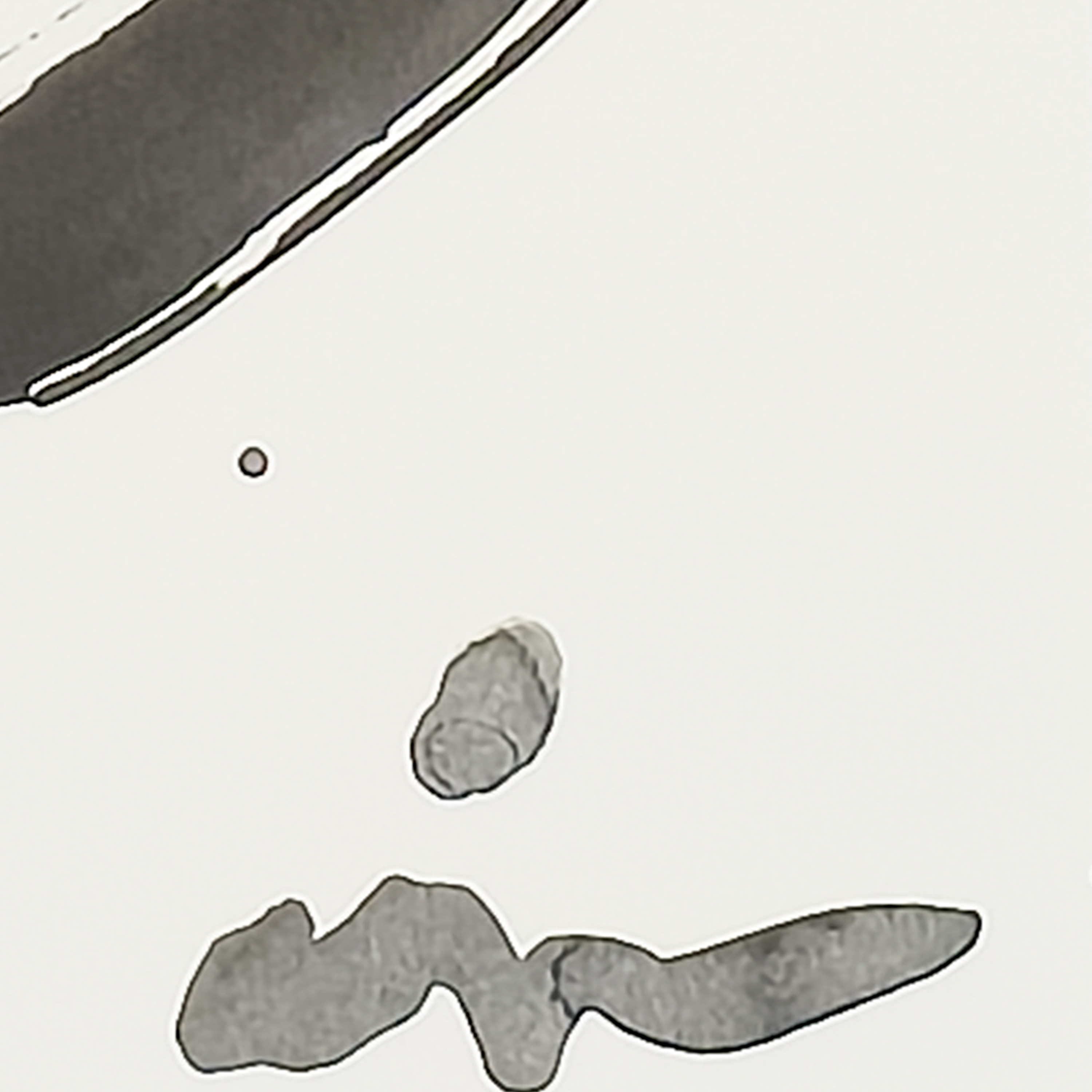 Enso Study 2 - Virginia Cohn Parkum, c. Unknown