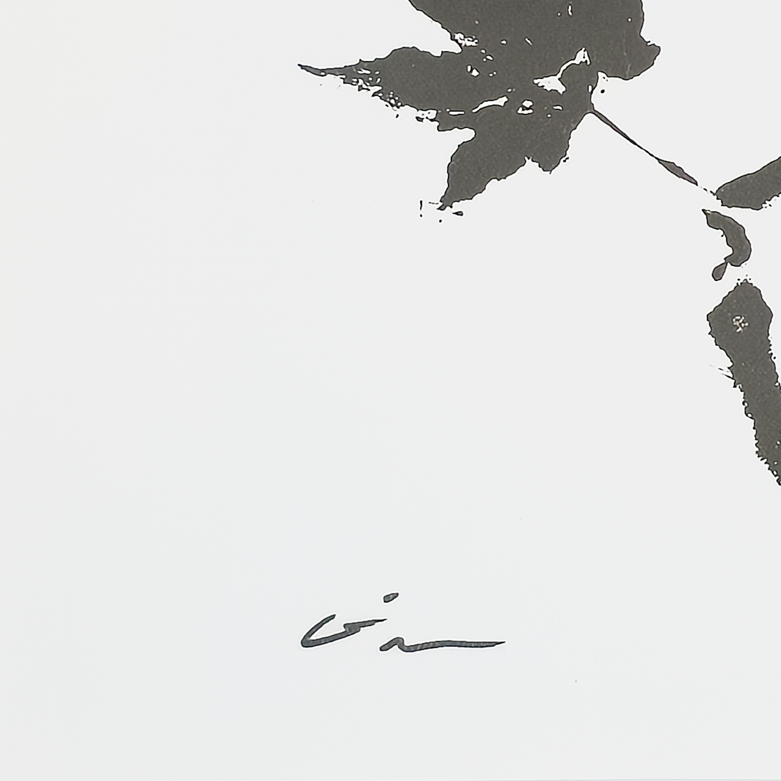 Sumi Leaf (Print) - Virginia Cohn Parkum, c. 2020s