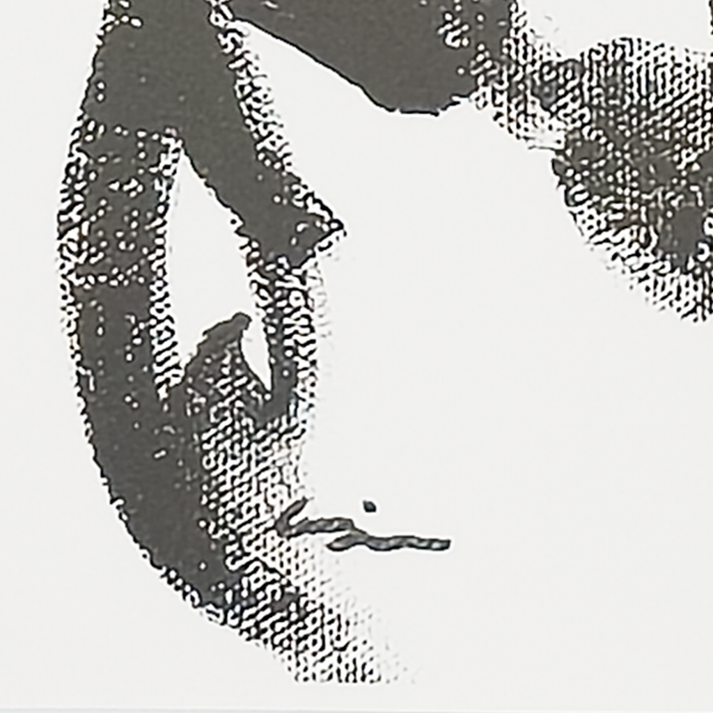 Sumi Stallion Bust (Print) - Virginia Cohn Parkum, c. 2020s