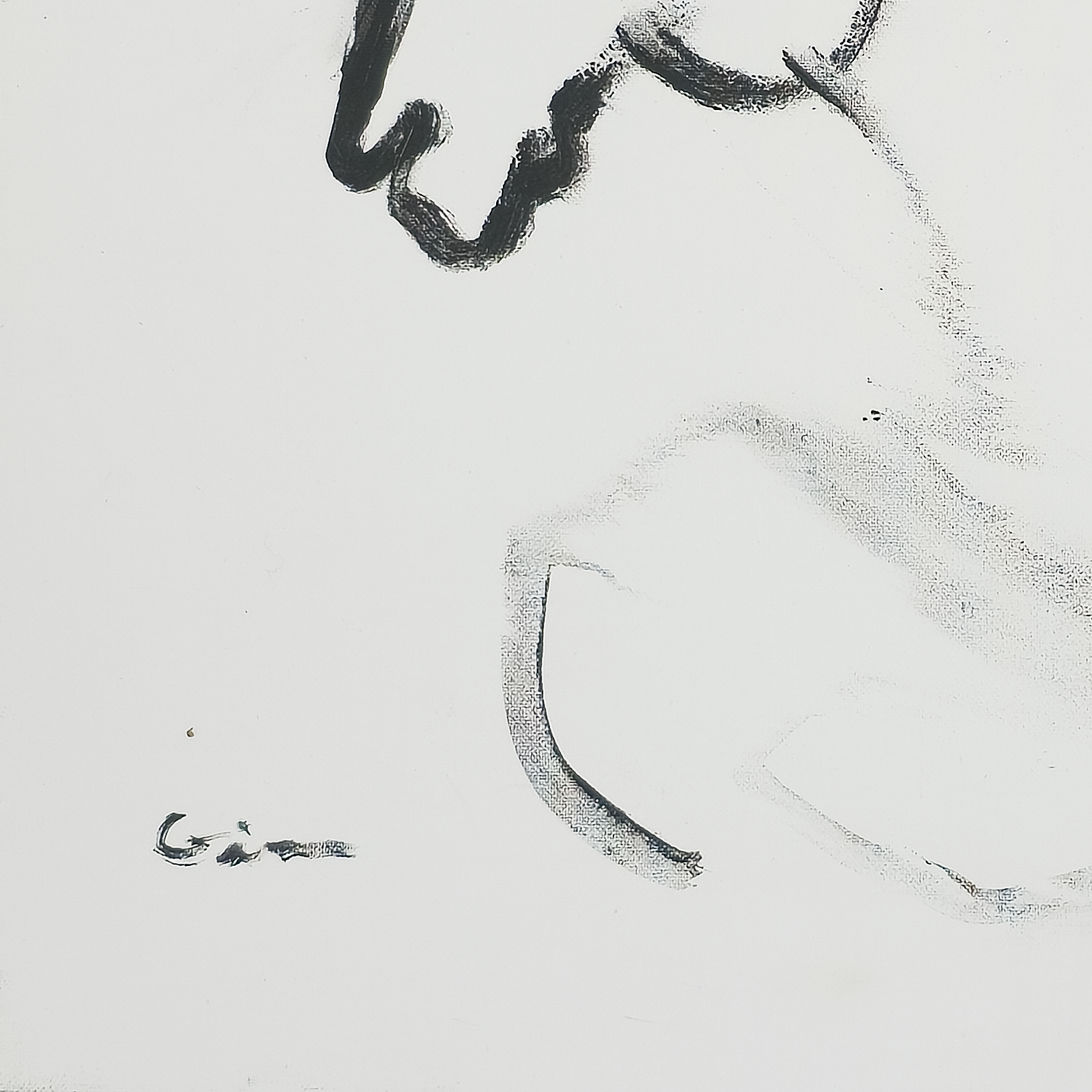 Freedom - Virginia Cohn Parkum, c. Unknown