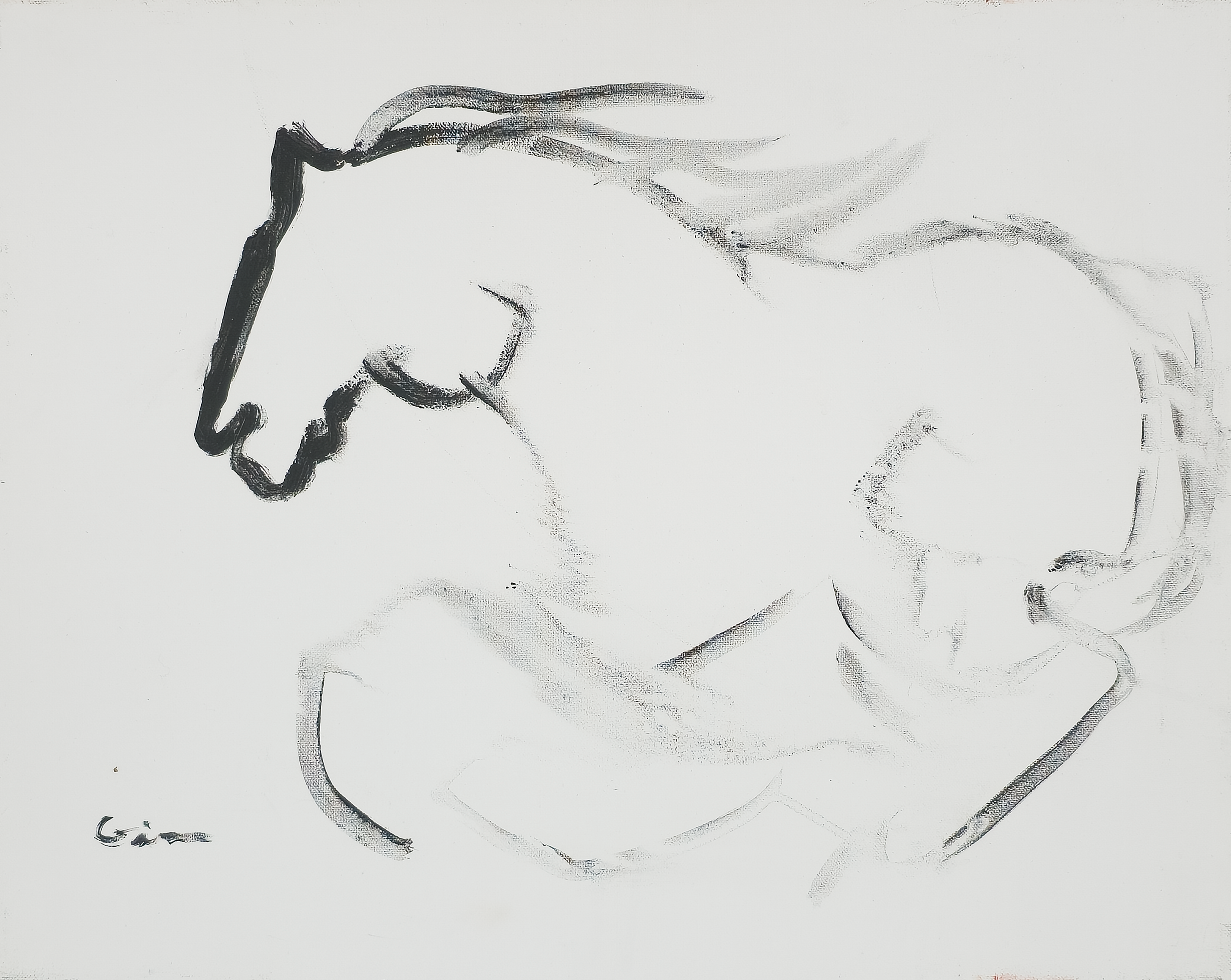 Freedom - Virginia Cohn Parkum, c. Unknown