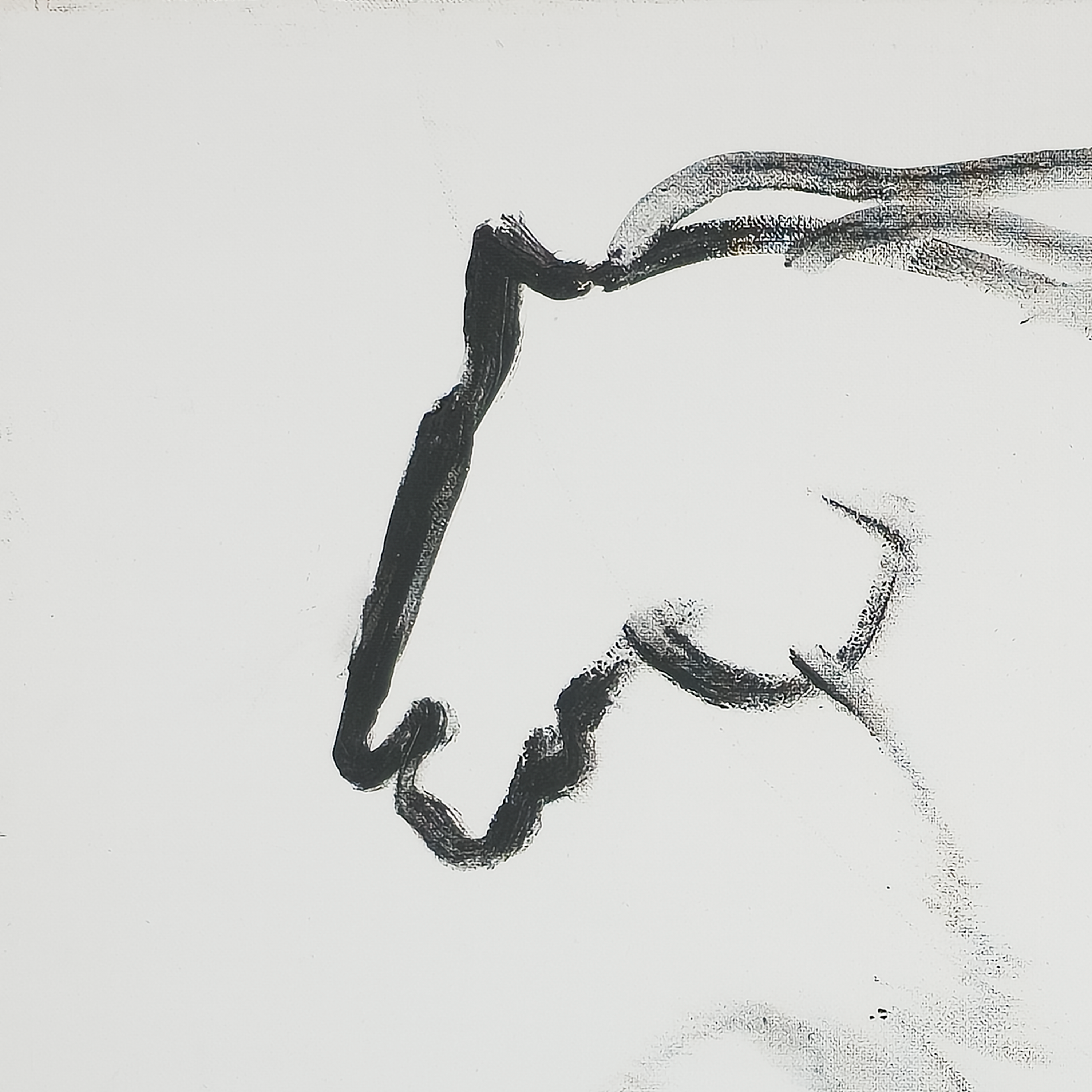 Freedom - Virginia Cohn Parkum, c. Unknown