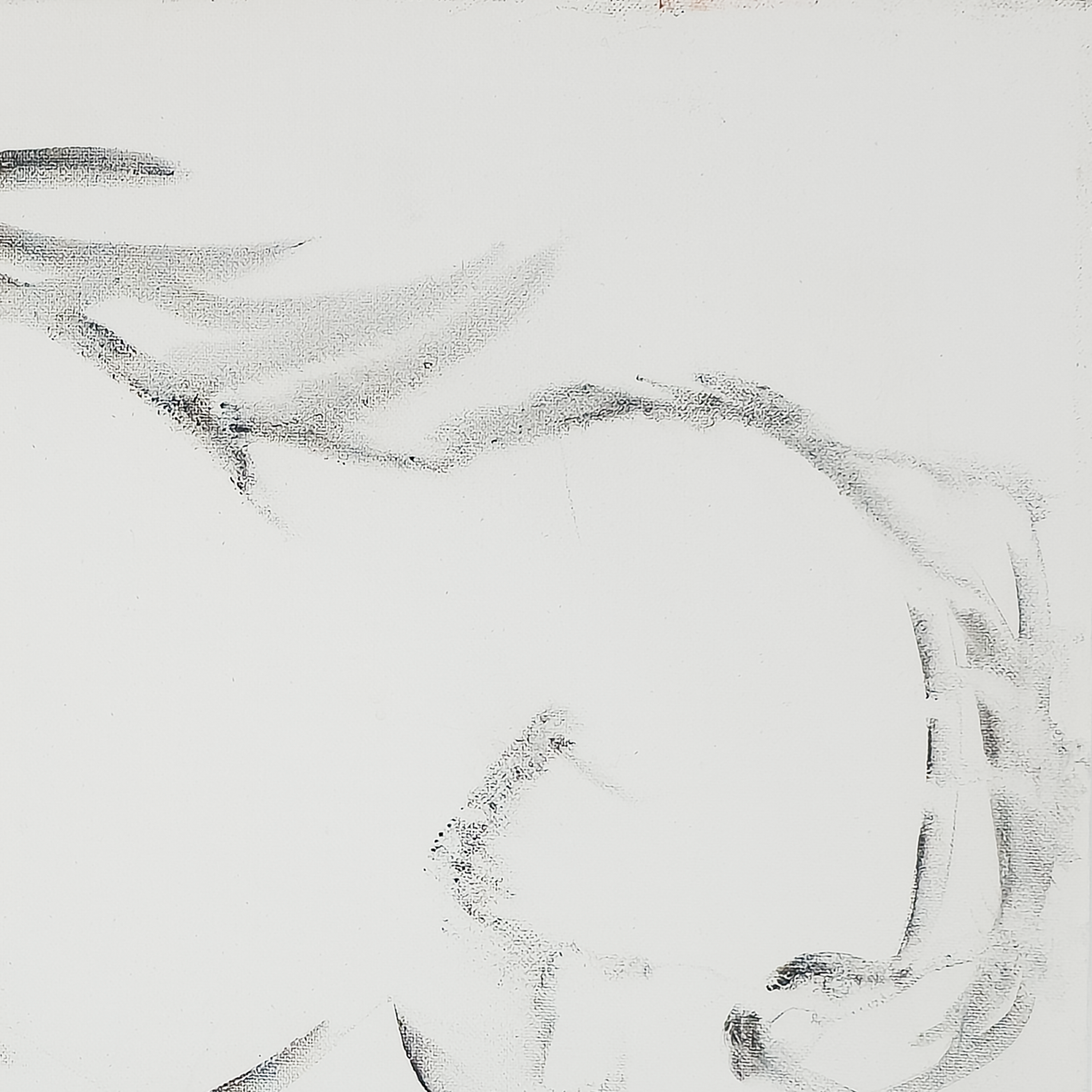 Freedom - Virginia Cohn Parkum, c. Unknown