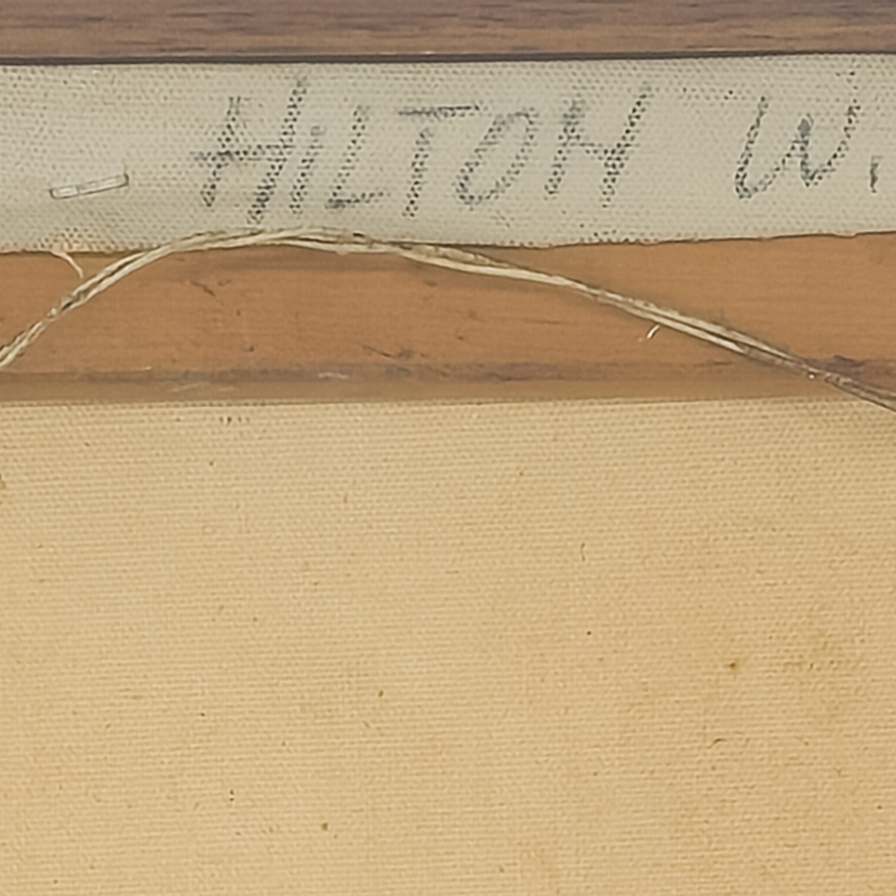 Electric Wire by Ralph Hilton