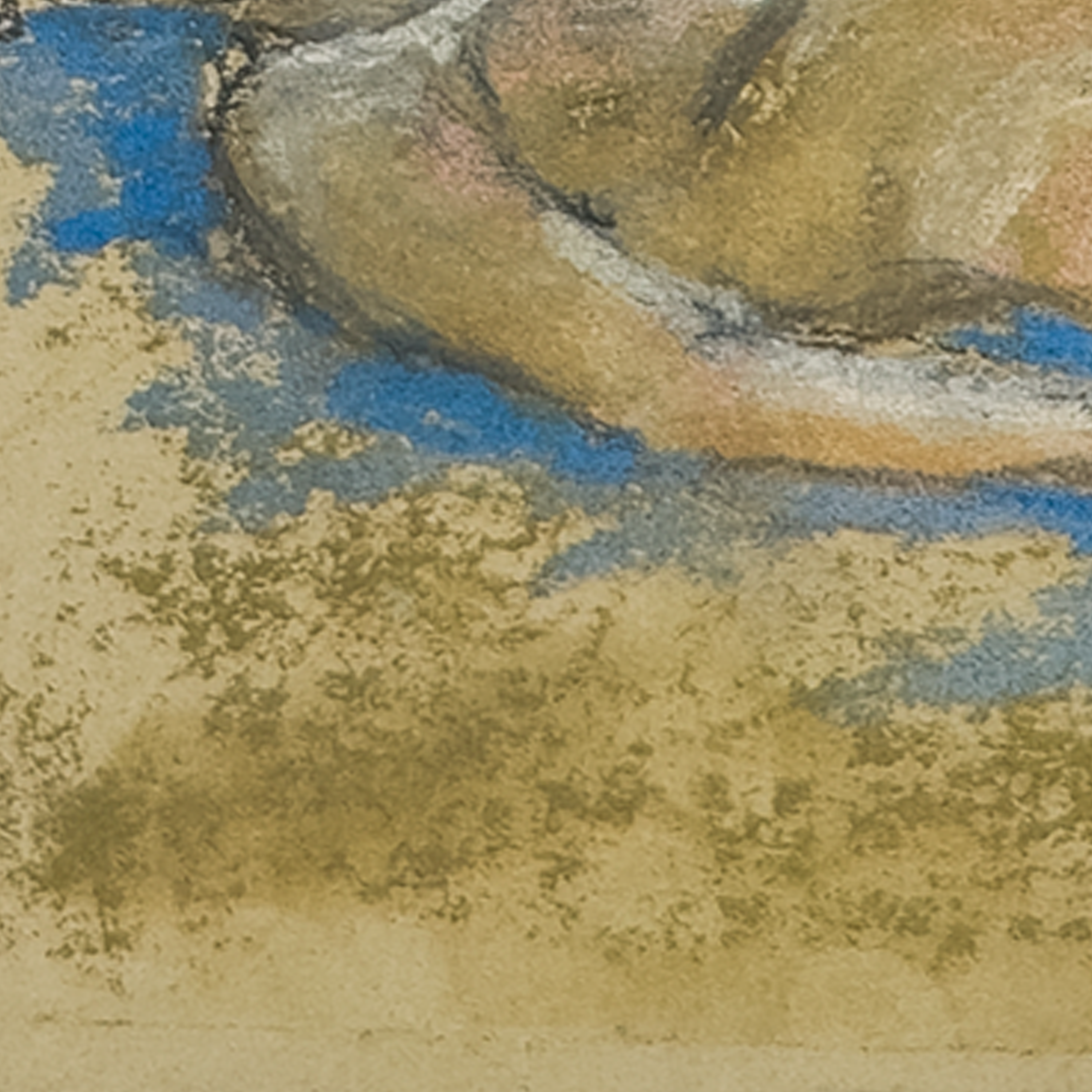 Back Sleeper by J. Bennett