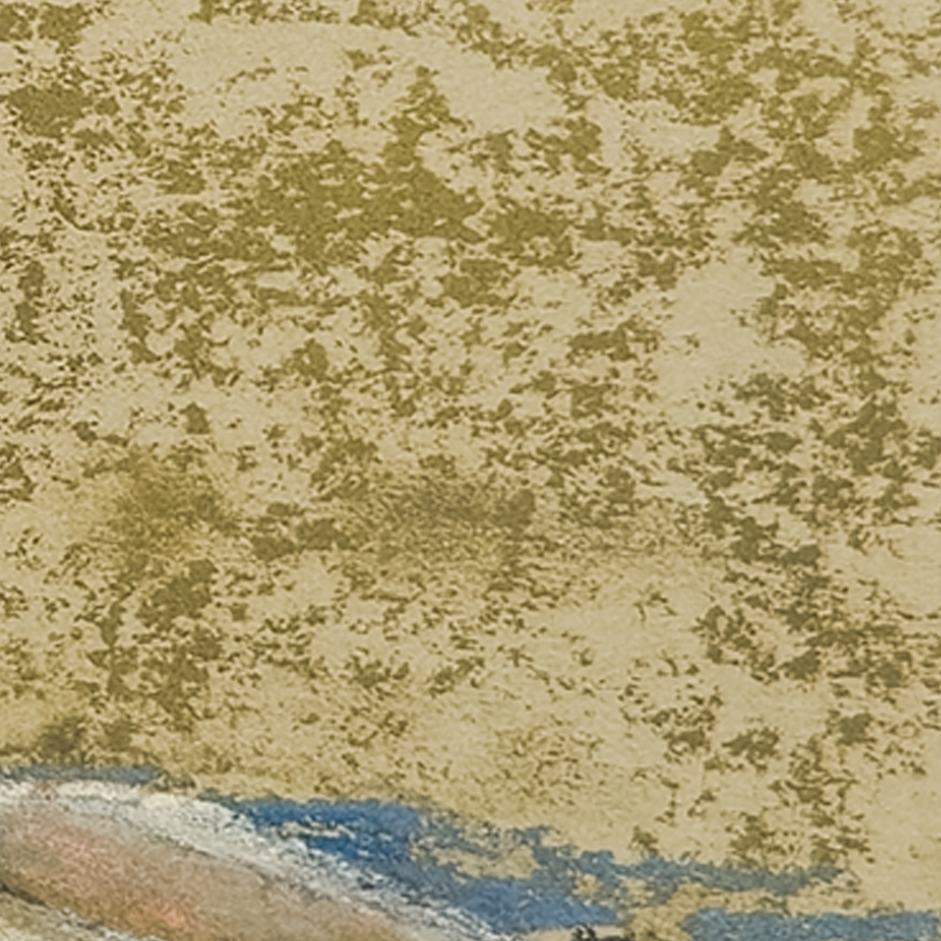 Back Sleeper by J. Bennett