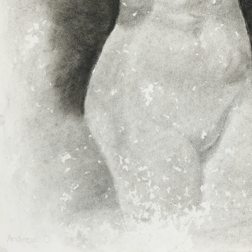 Study of a Female Torso - Andrea O., c. 1979