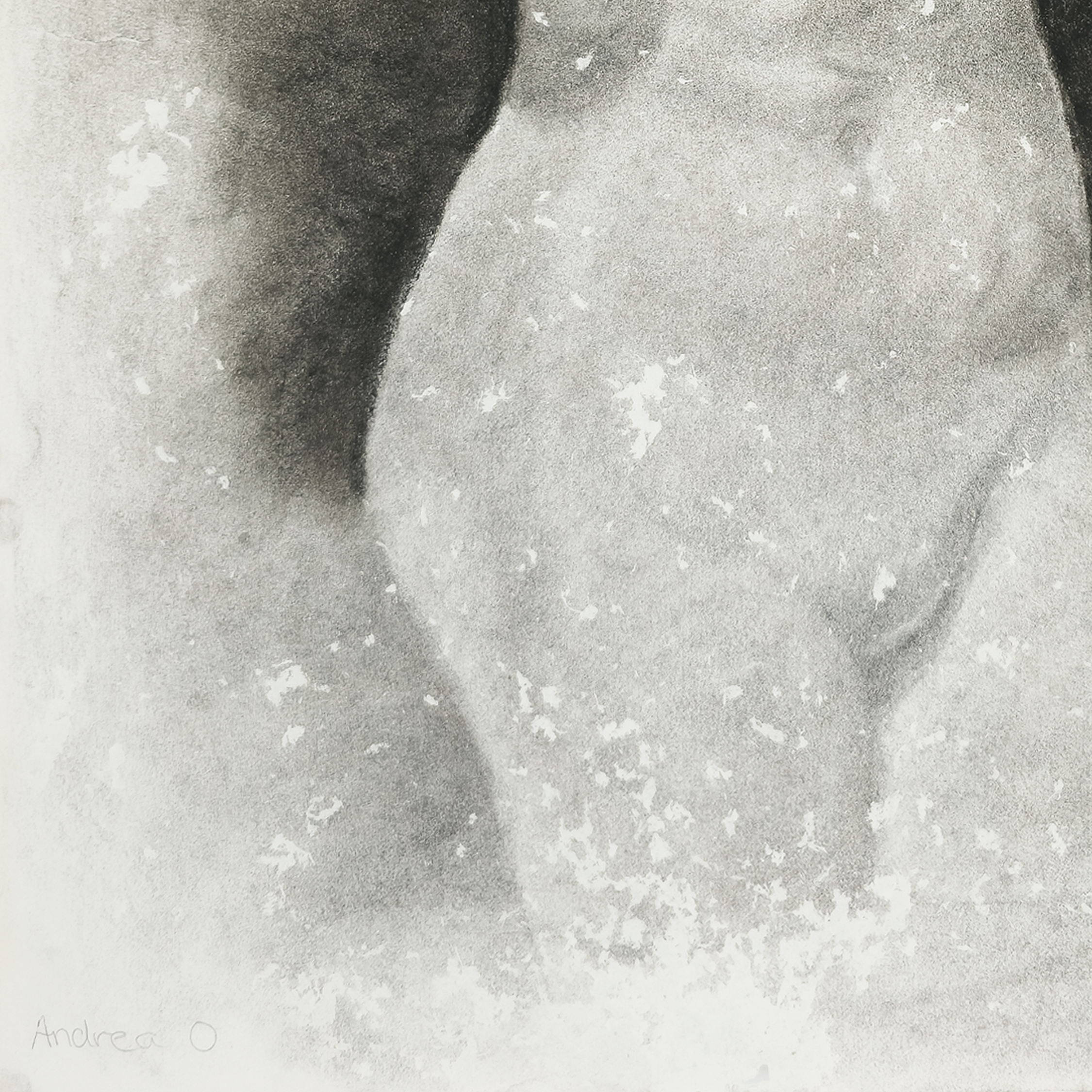 Study of a Female Torso - Andrea O., c. 1979