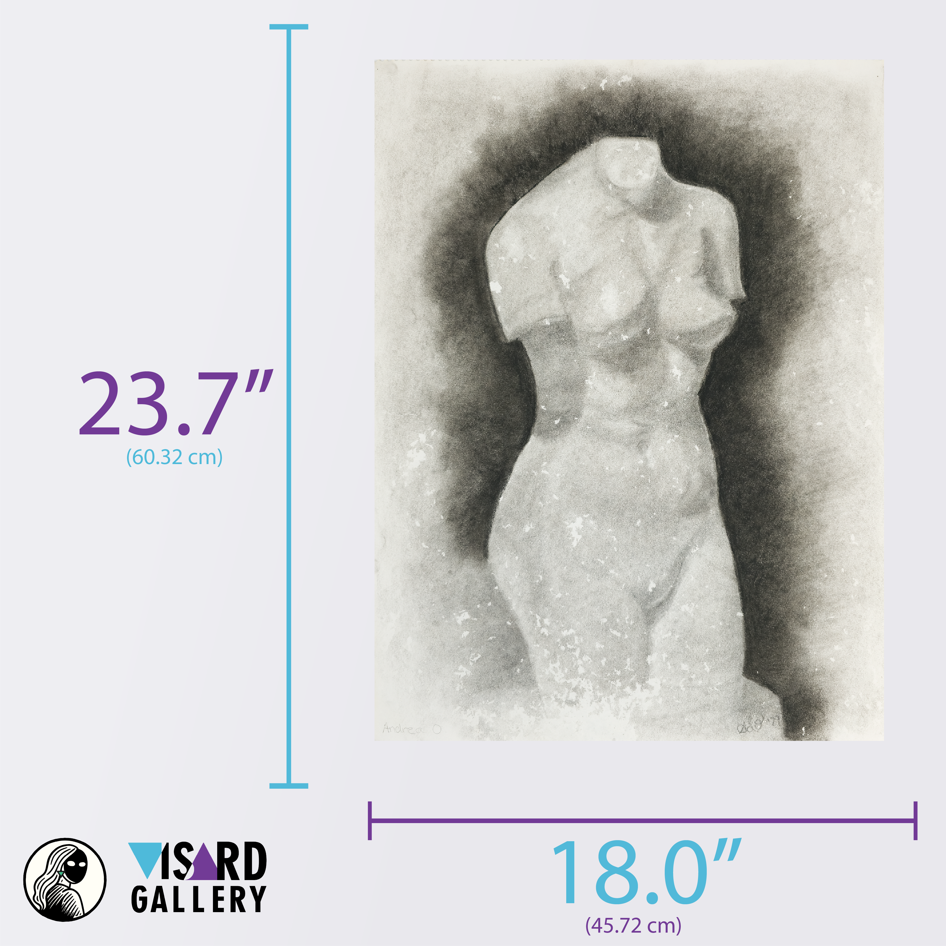 Study of a Female Torso - Andrea O., c. 1979