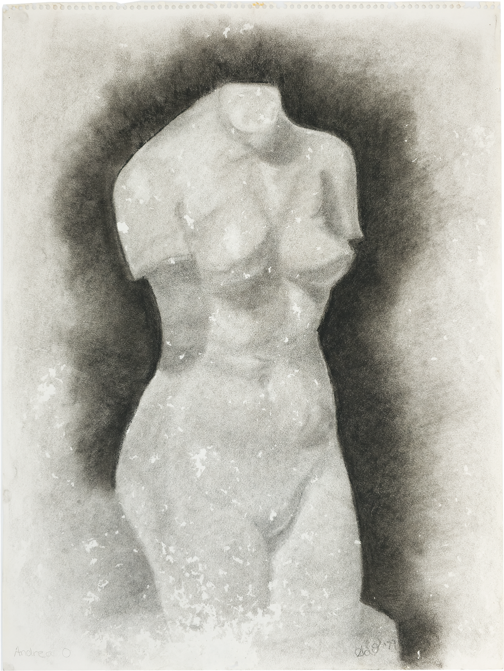Study of a Female Torso - Andrea O., c. 1979