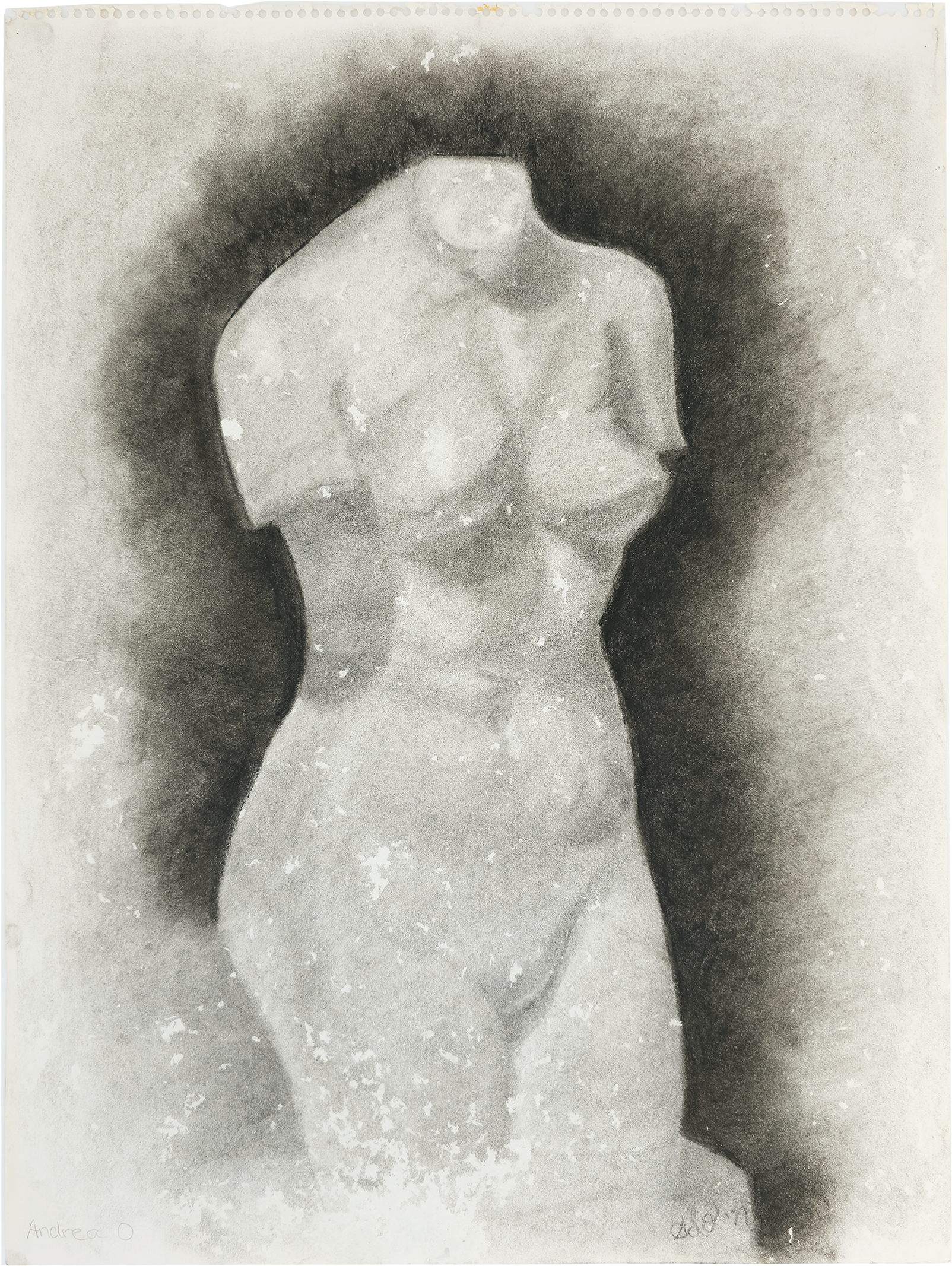 Study of a Female Torso - Andrea O., c. 1979