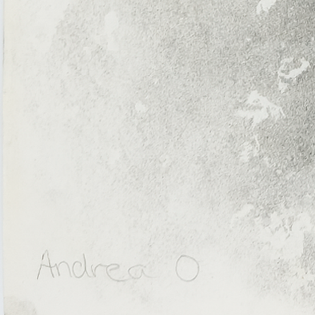 Study of a Female Torso - Andrea O., c. 1979