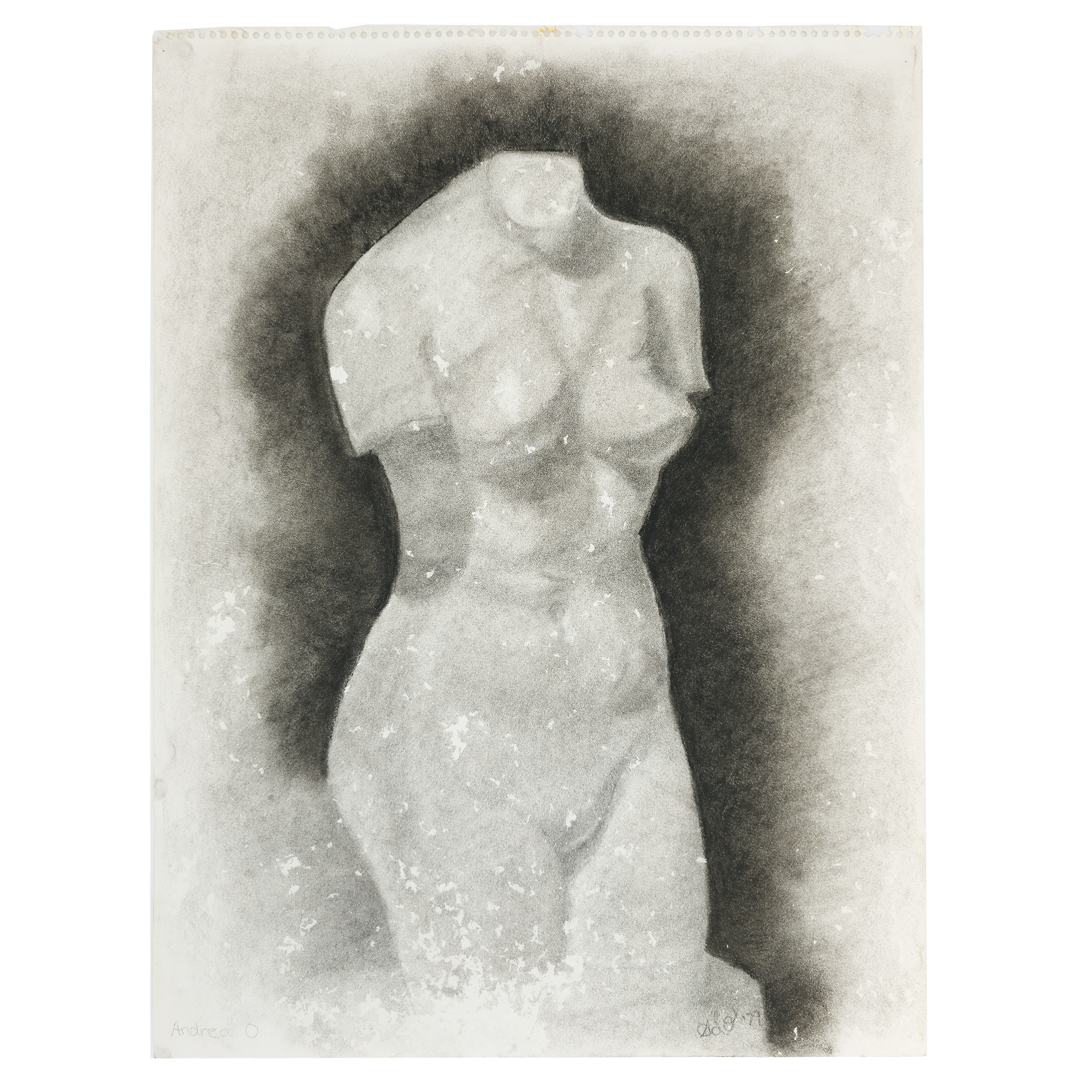 Study of a Female Torso - Andrea O., c. 1979