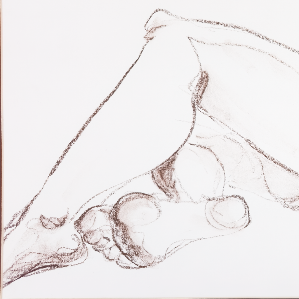 Reclining Nude in Conte  - V. Morgan