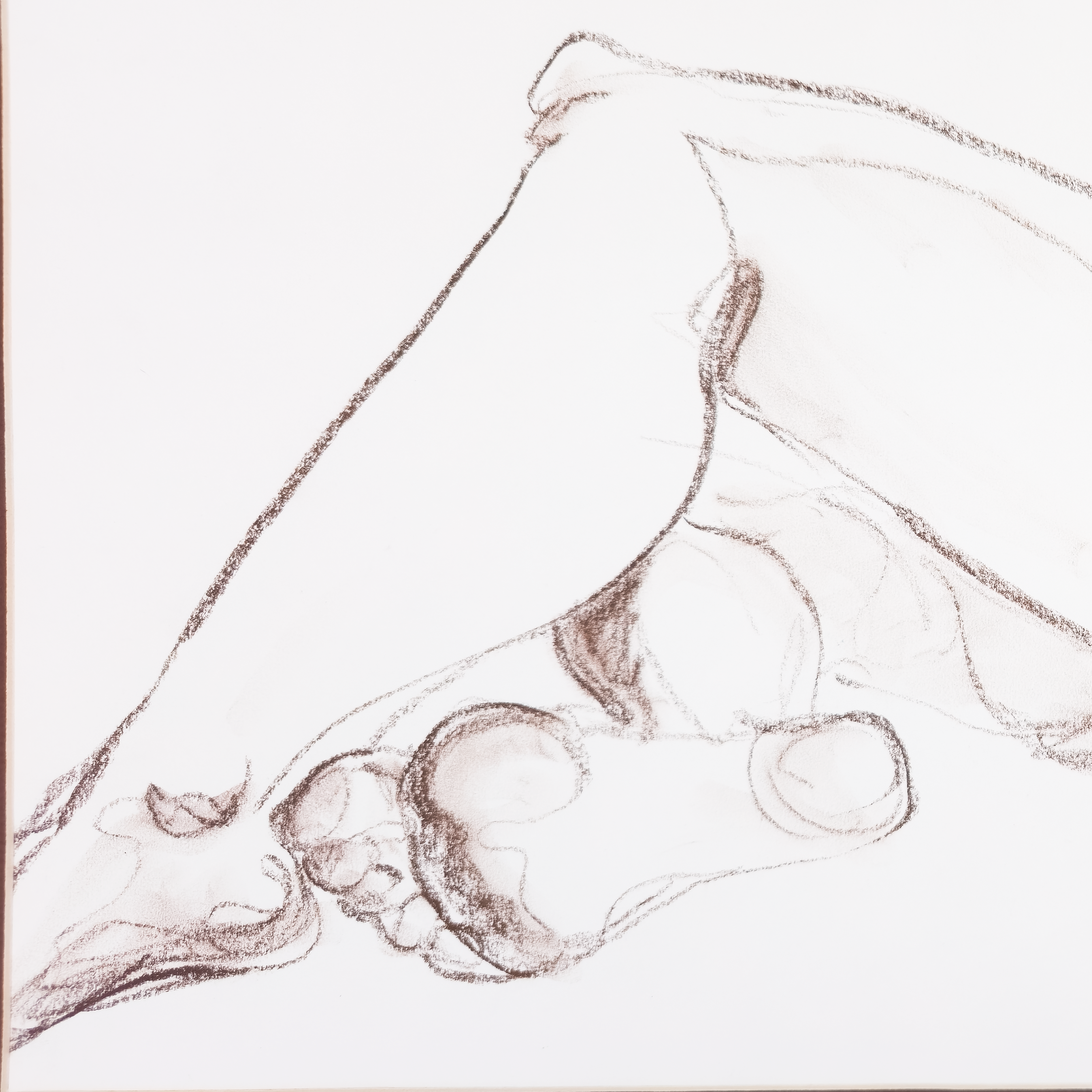 Reclining Nude in Conte  - V. Morgan