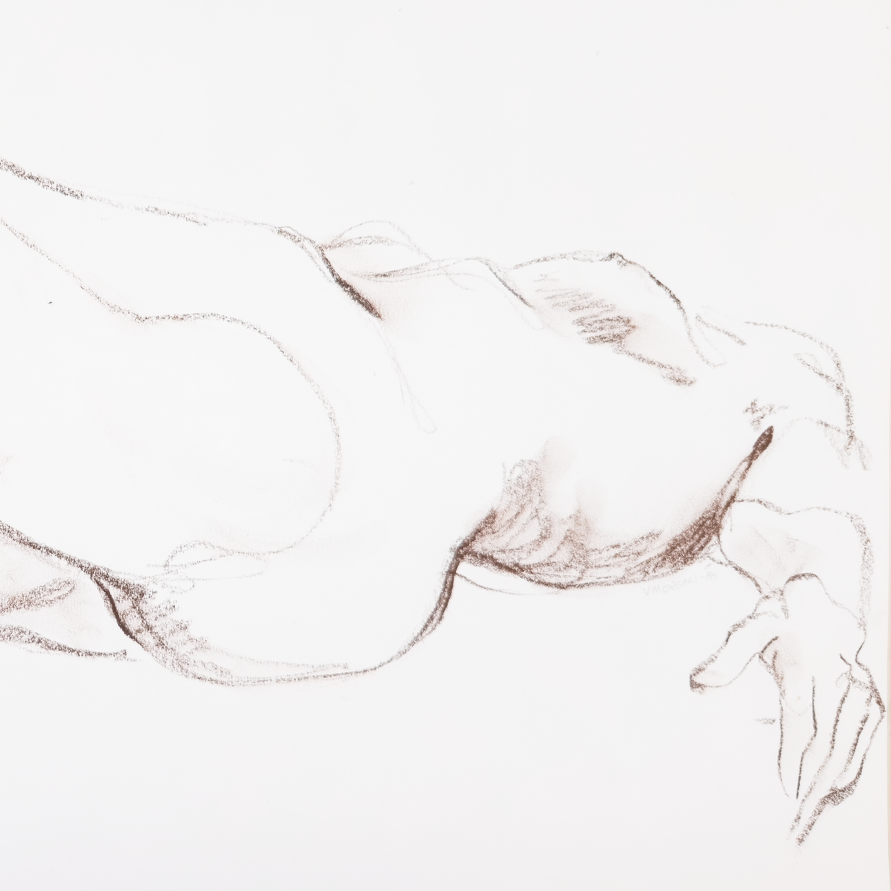 Reclining Nude in Conte  - V. Morgan