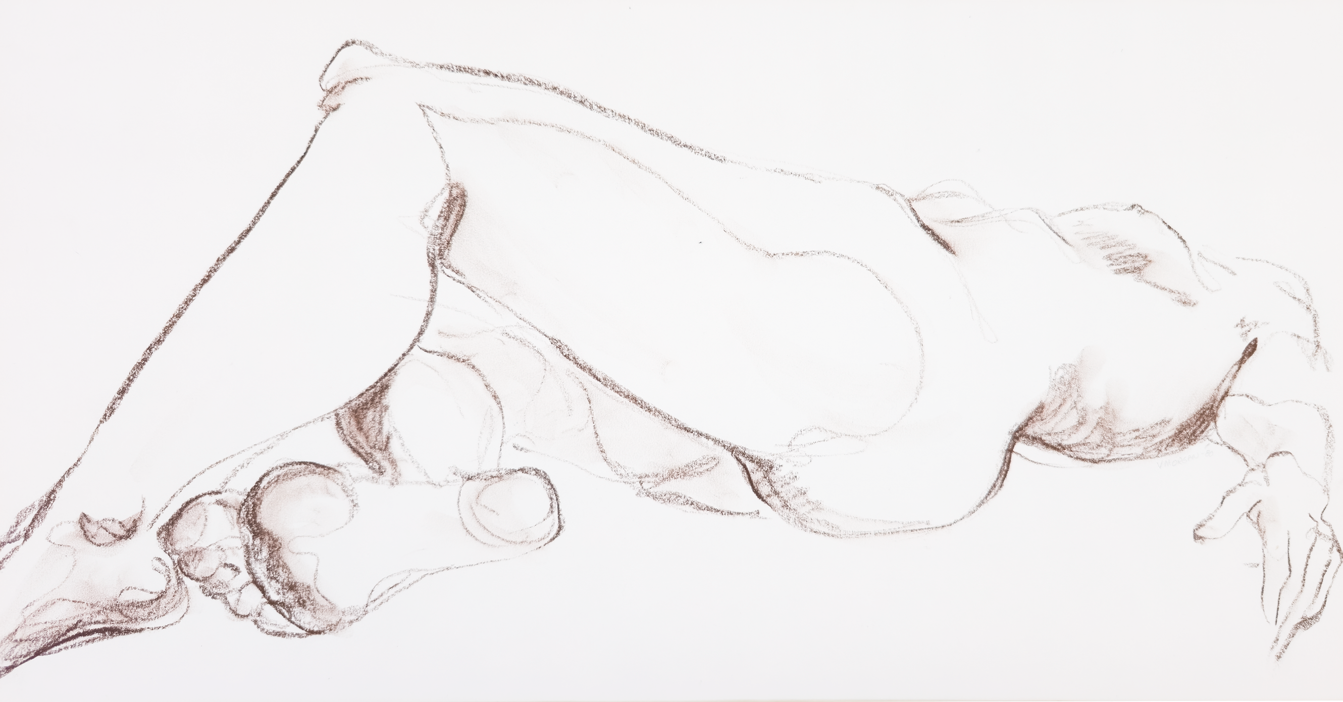 Reclining Nude in Conte  - V. Morgan