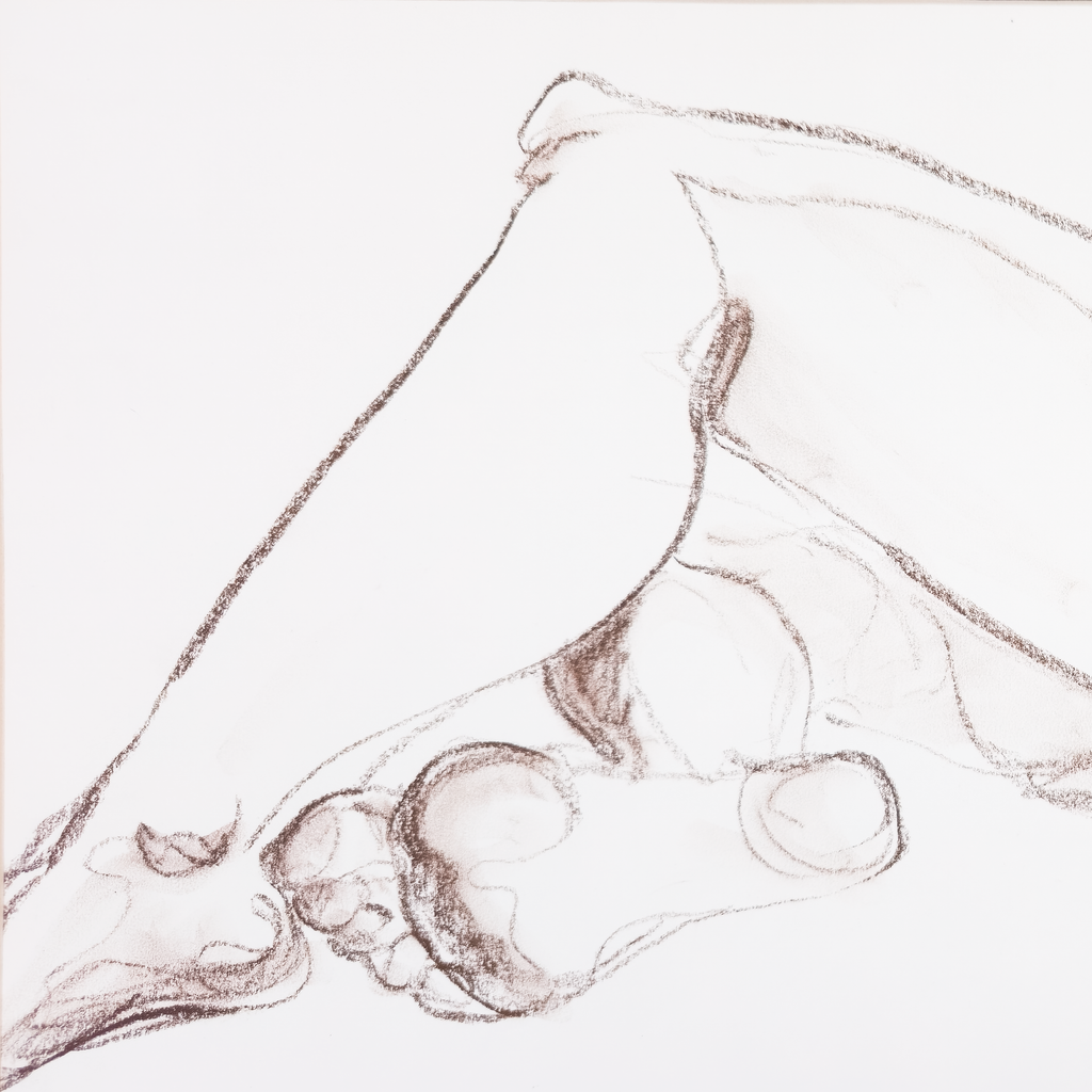 Reclining Nude in Conte  - V. Morgan