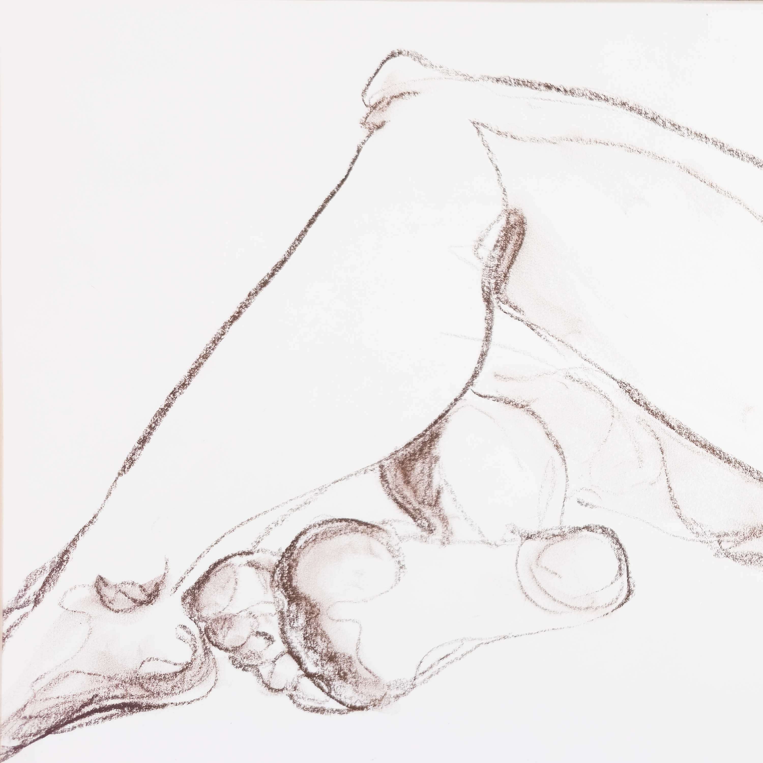 Reclining Nude in Conte  - V. Morgan