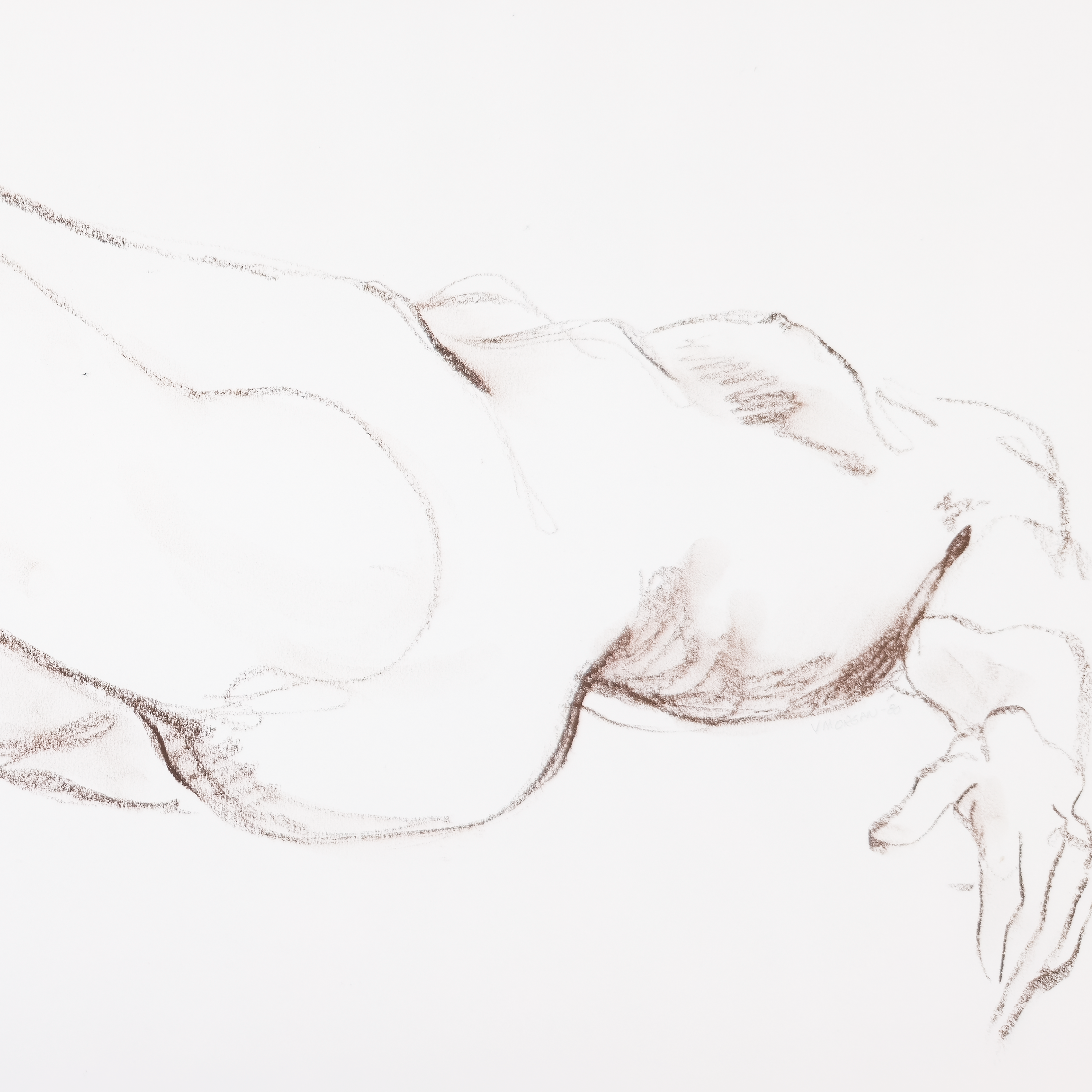 Reclining Nude in Conte  - V. Morgan