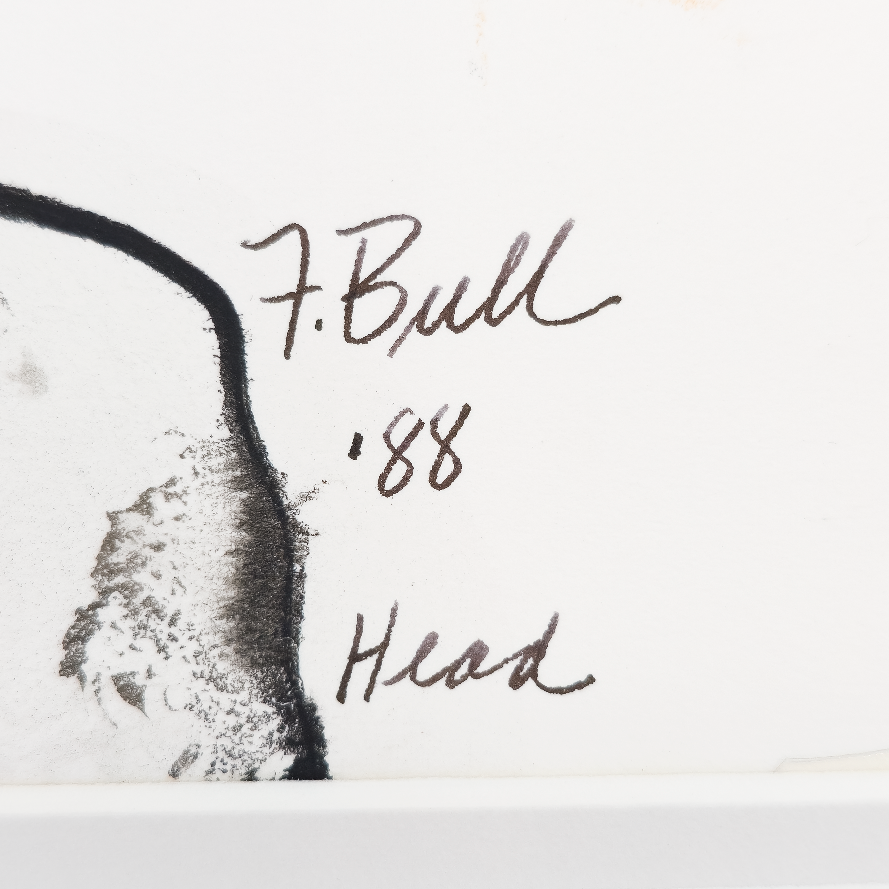 Head - Fran Bull