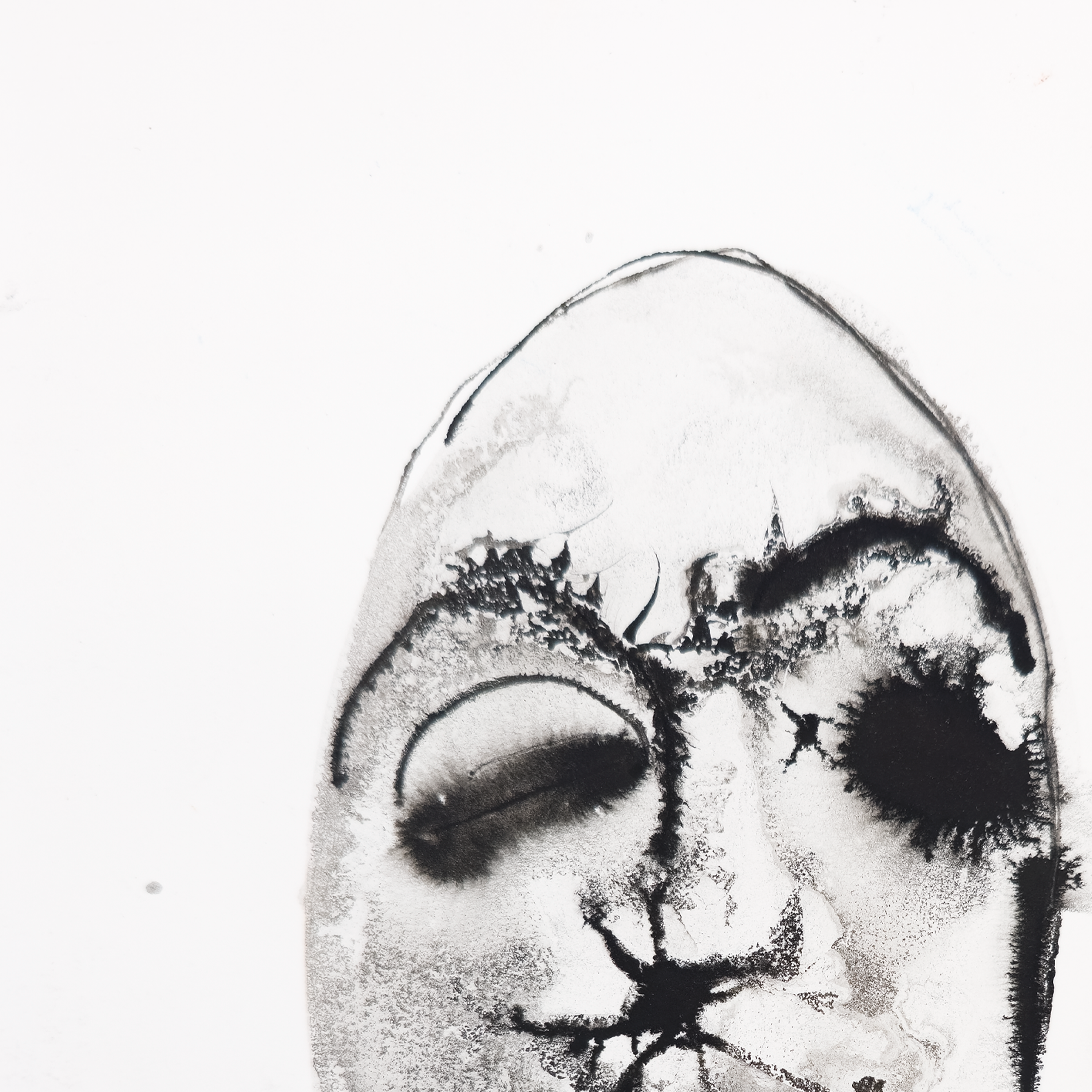Head - Fran Bull