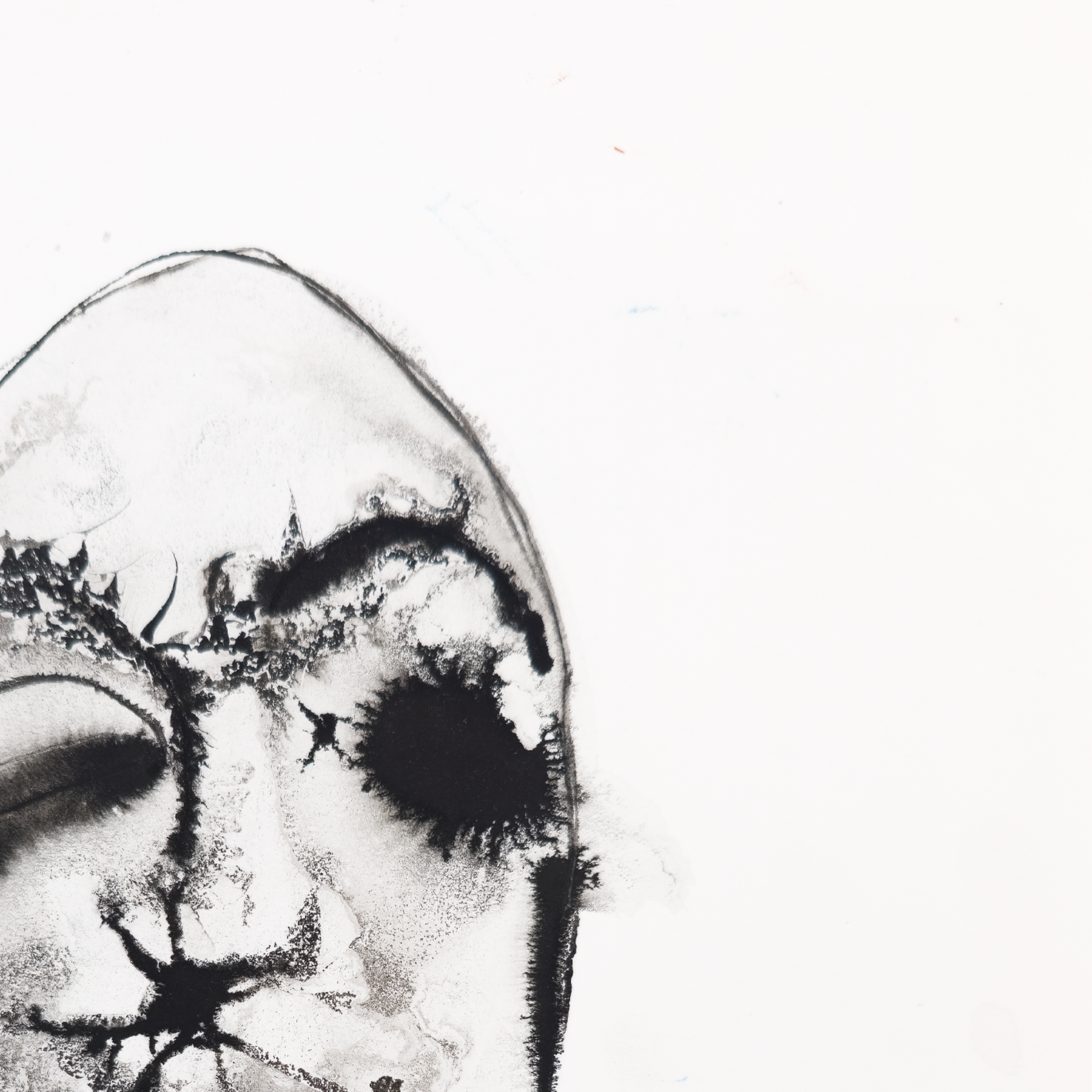 Head - Fran Bull