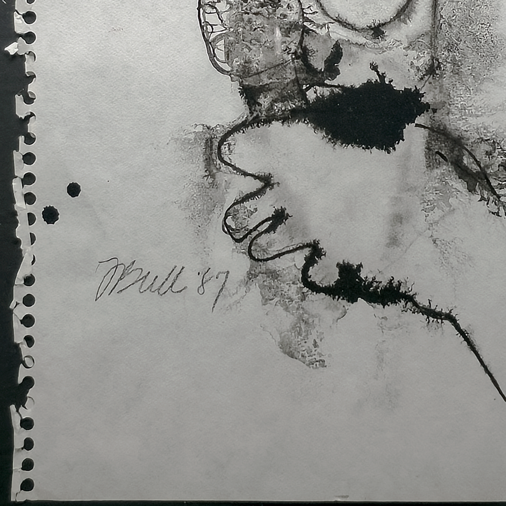 Radio Man - Fran Bull