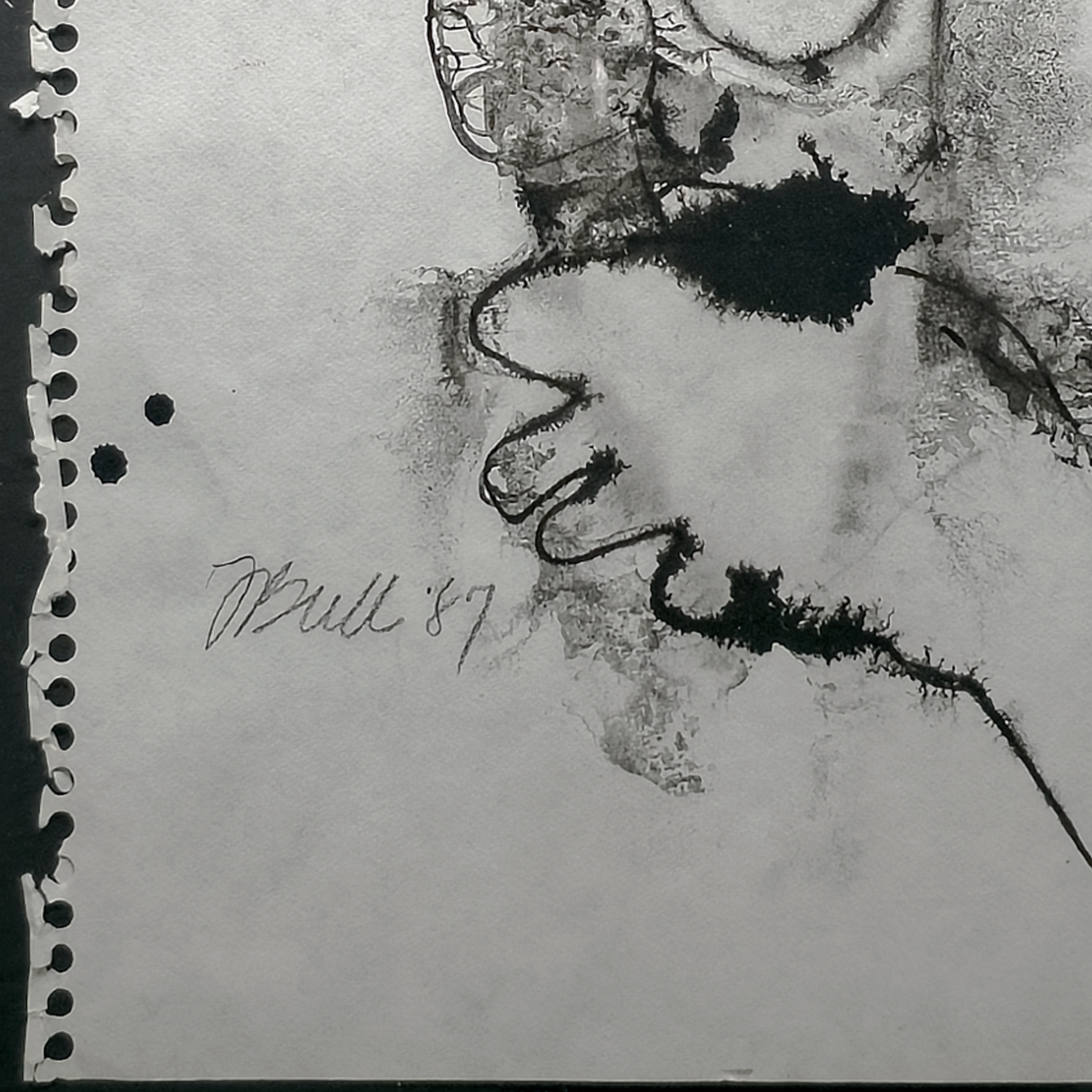 Radio Man - Fran Bull