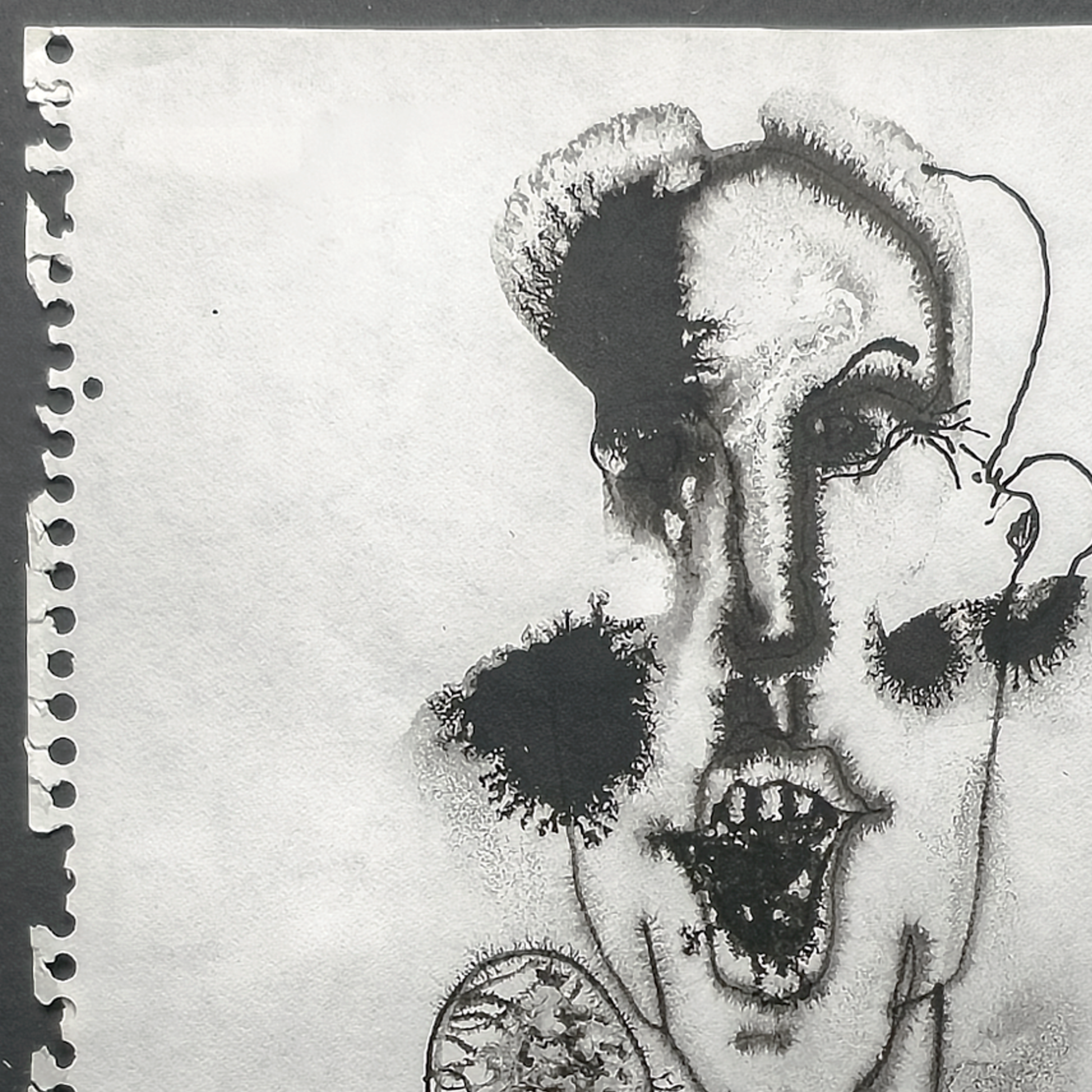Radio Man - Fran Bull