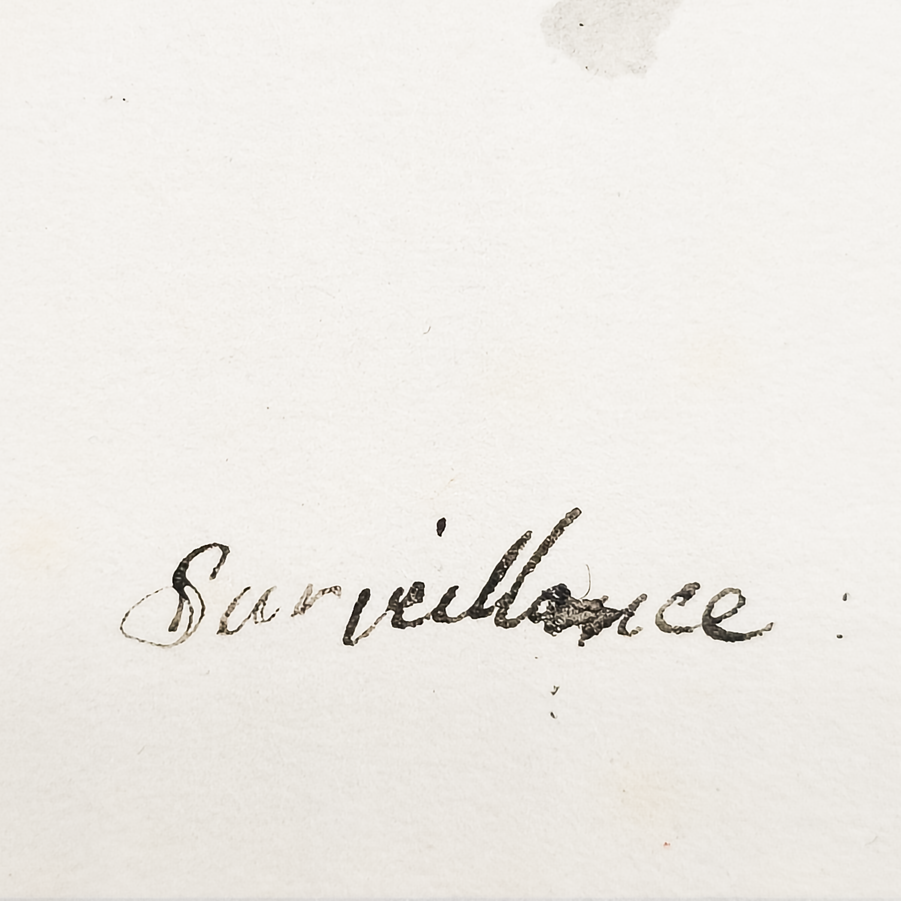 Surveillance - Robert Lohman