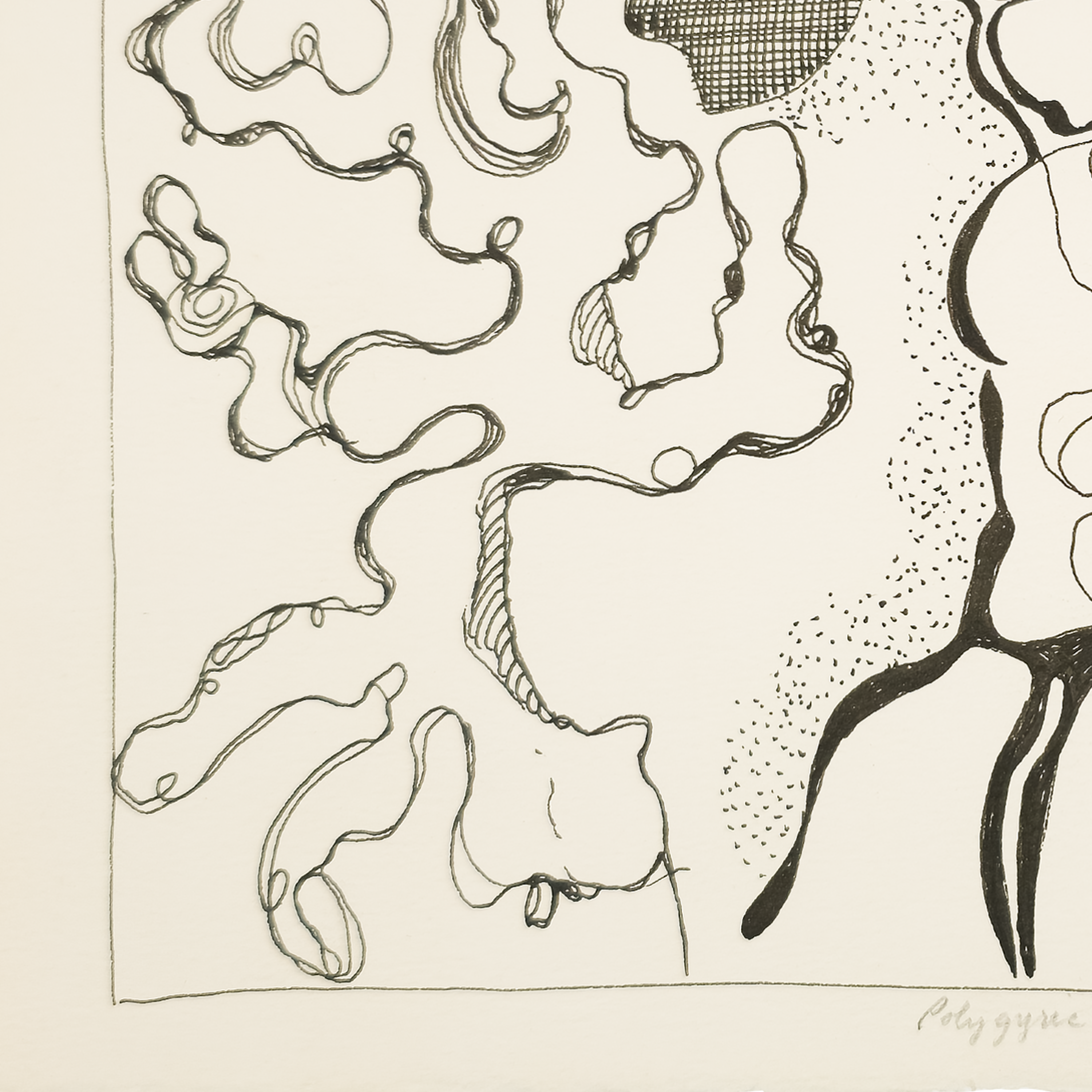 Polygyric Appearances - Robert Lohman
