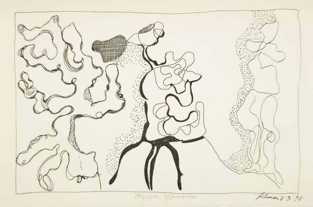 Polygyric Appearances - Robert Lohman