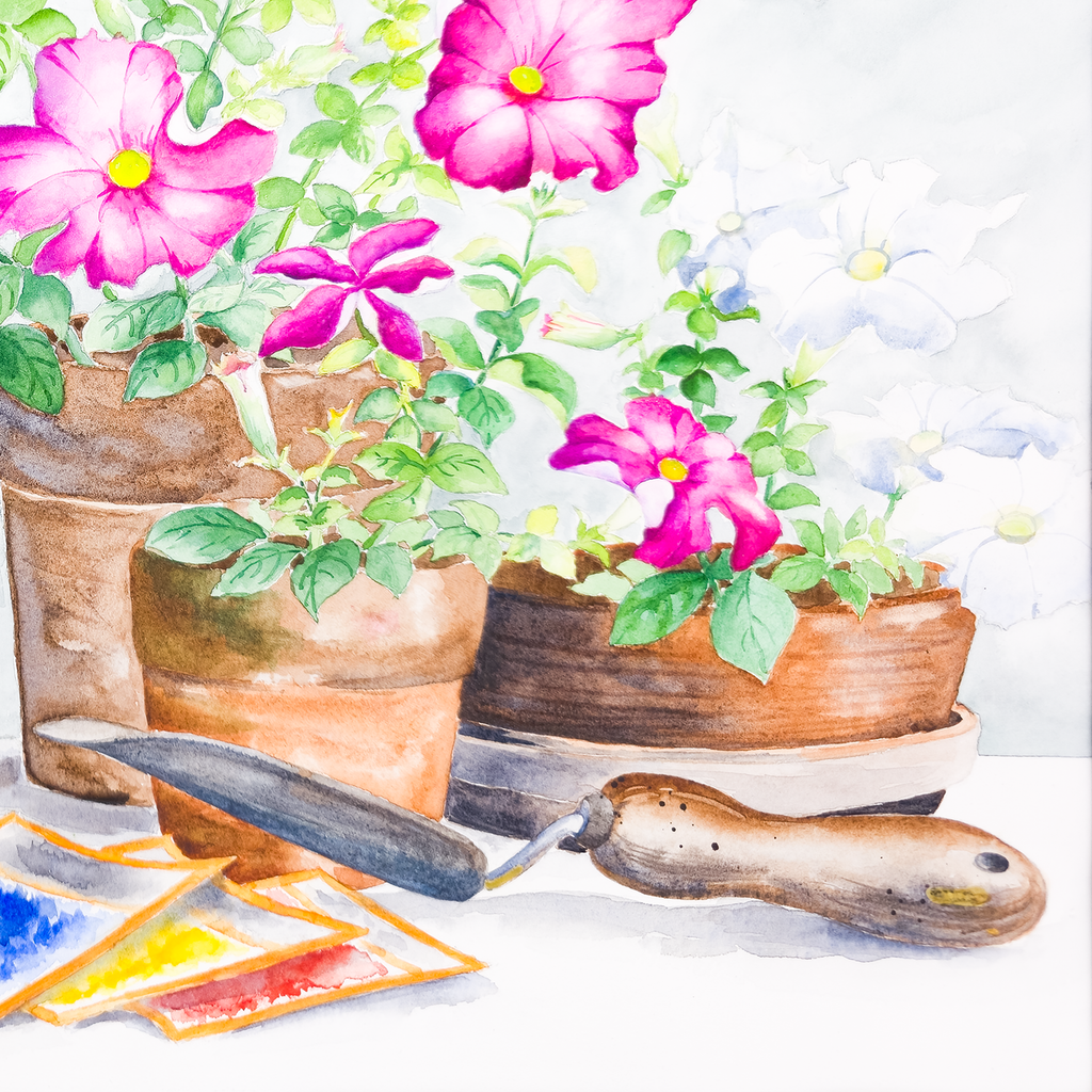 Potted Wild Roses  - Tomoko Parry