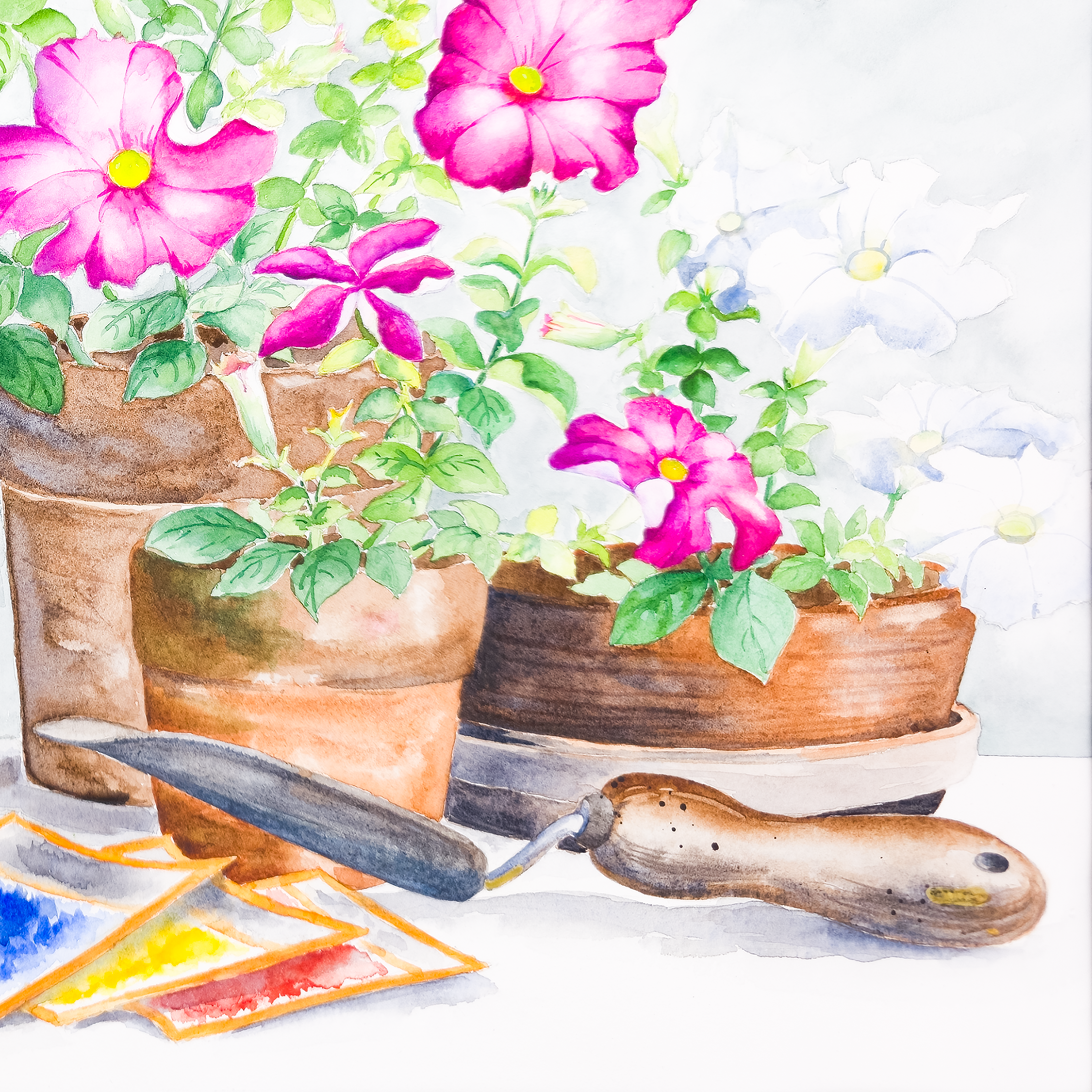 Potted Wild Roses  - Tomoko Parry