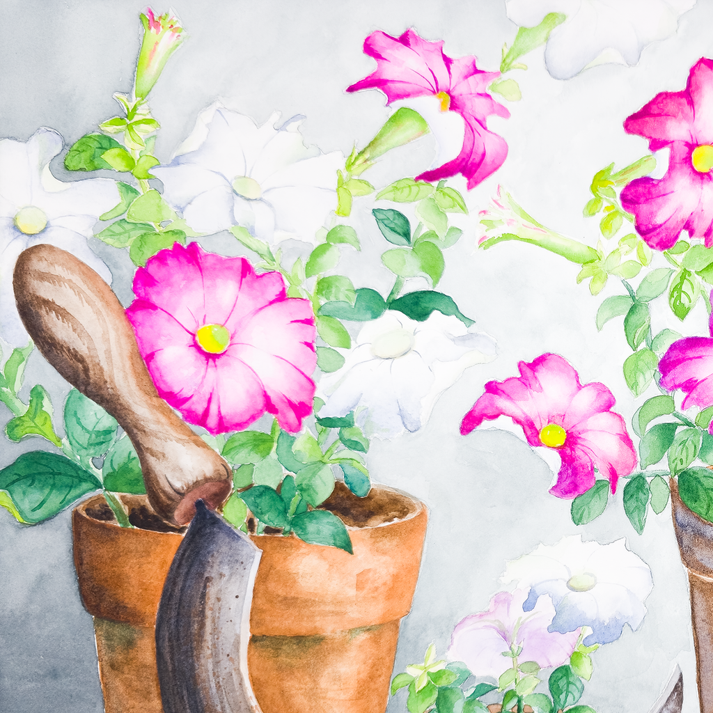 Potted Wild Roses  - Tomoko Parry
